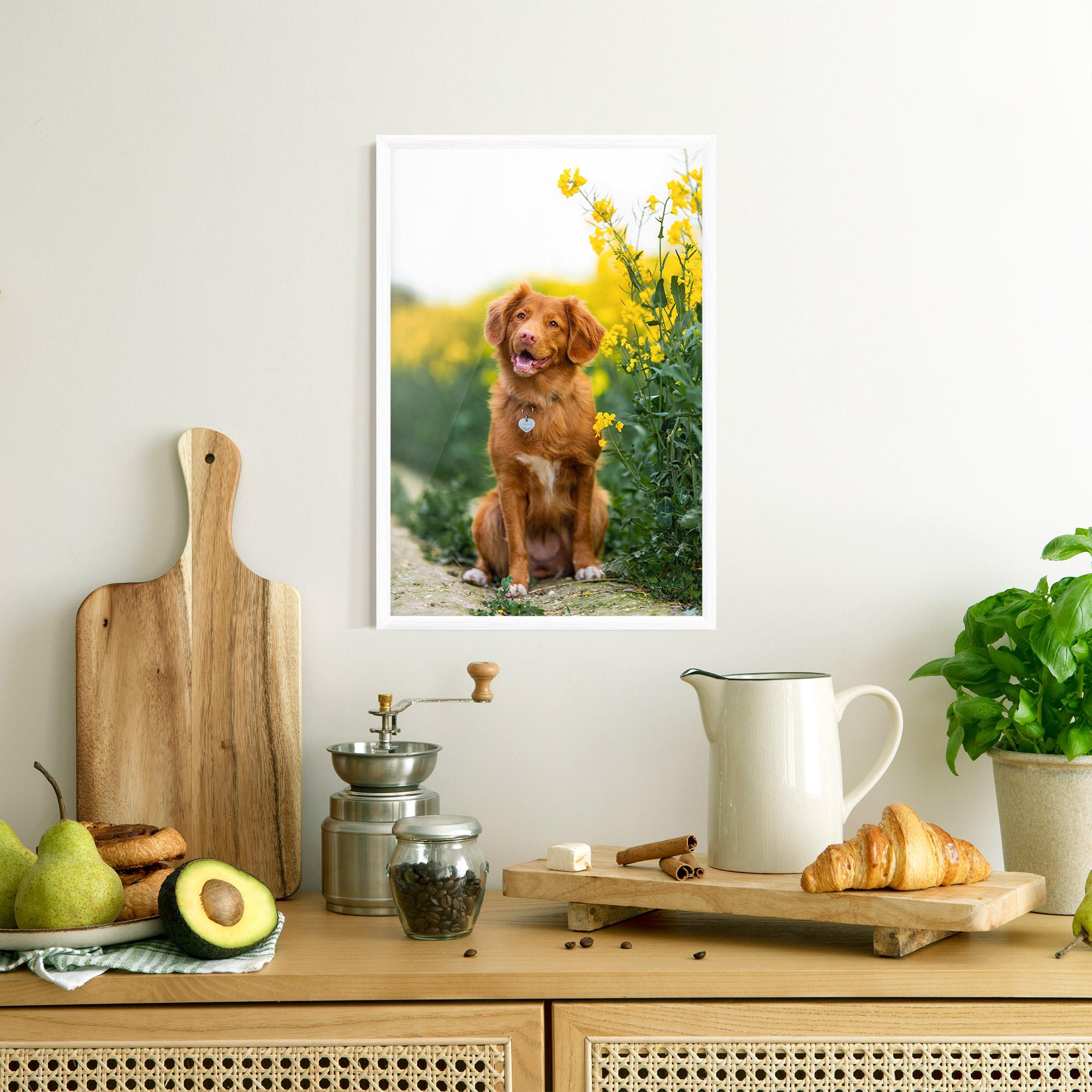 Рамкиран постер Dog Yellow Flowers mockup 8