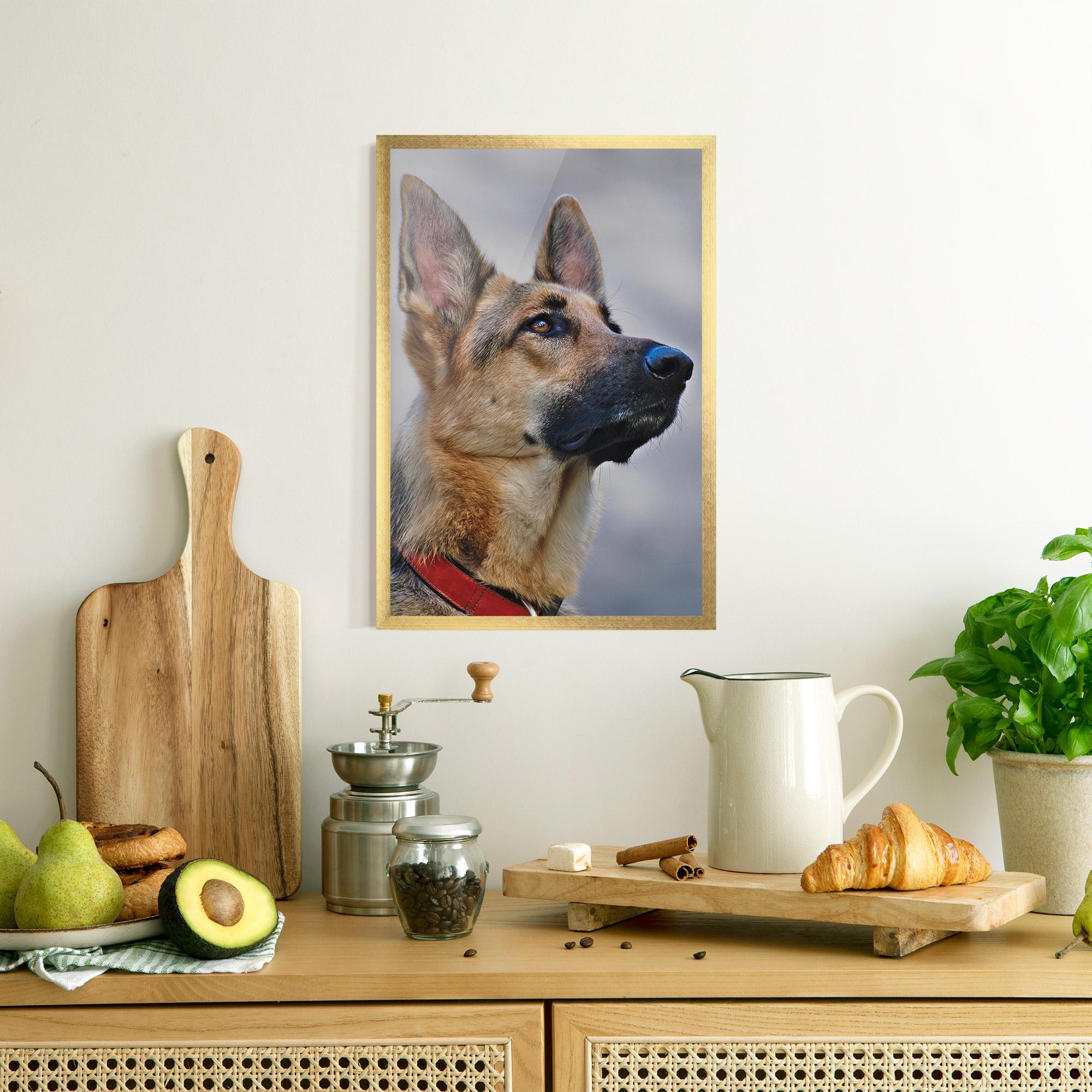 Рамкиран постер German Shepherd mockup 8