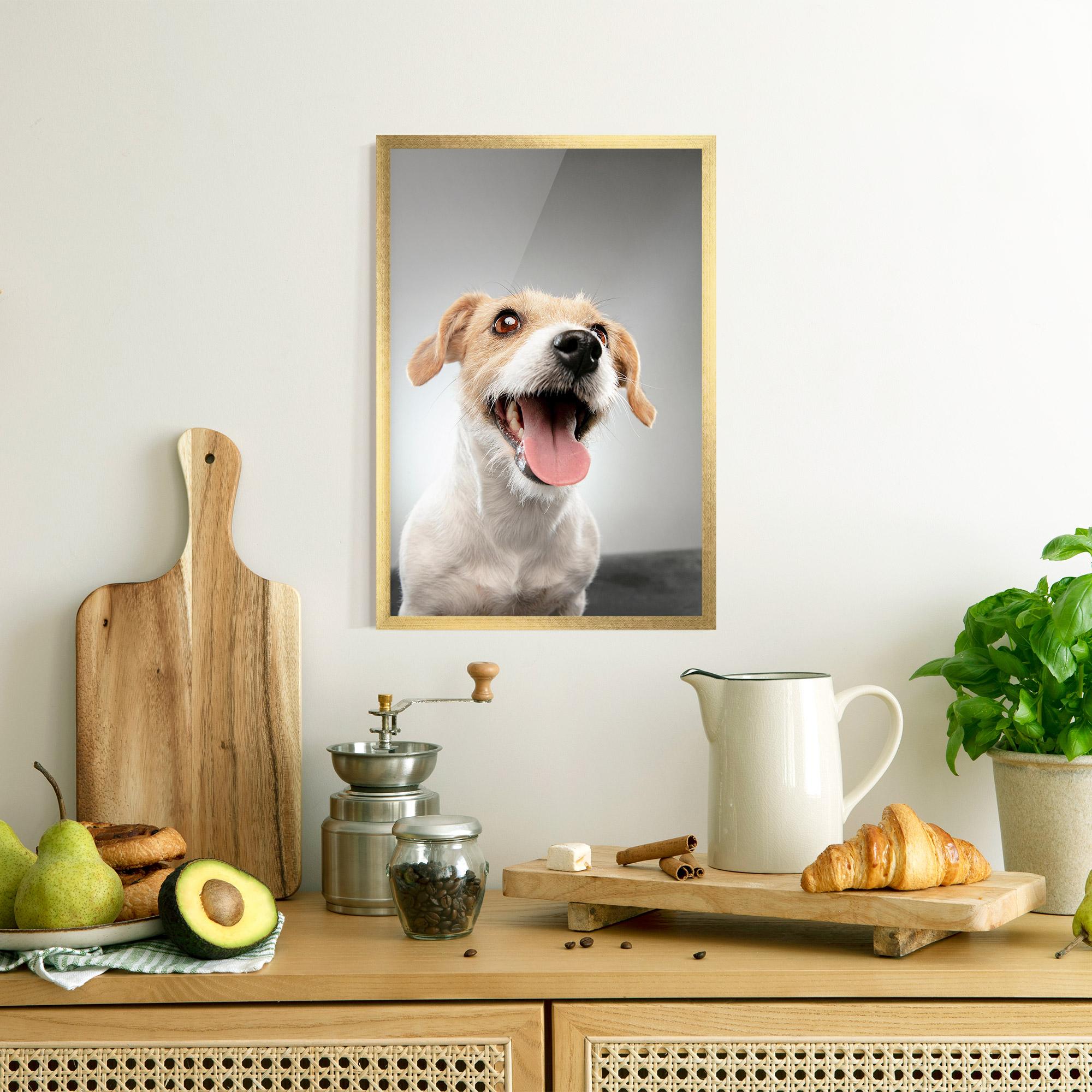 Рамкиран постер Jack Russell Terrier mockup 8
