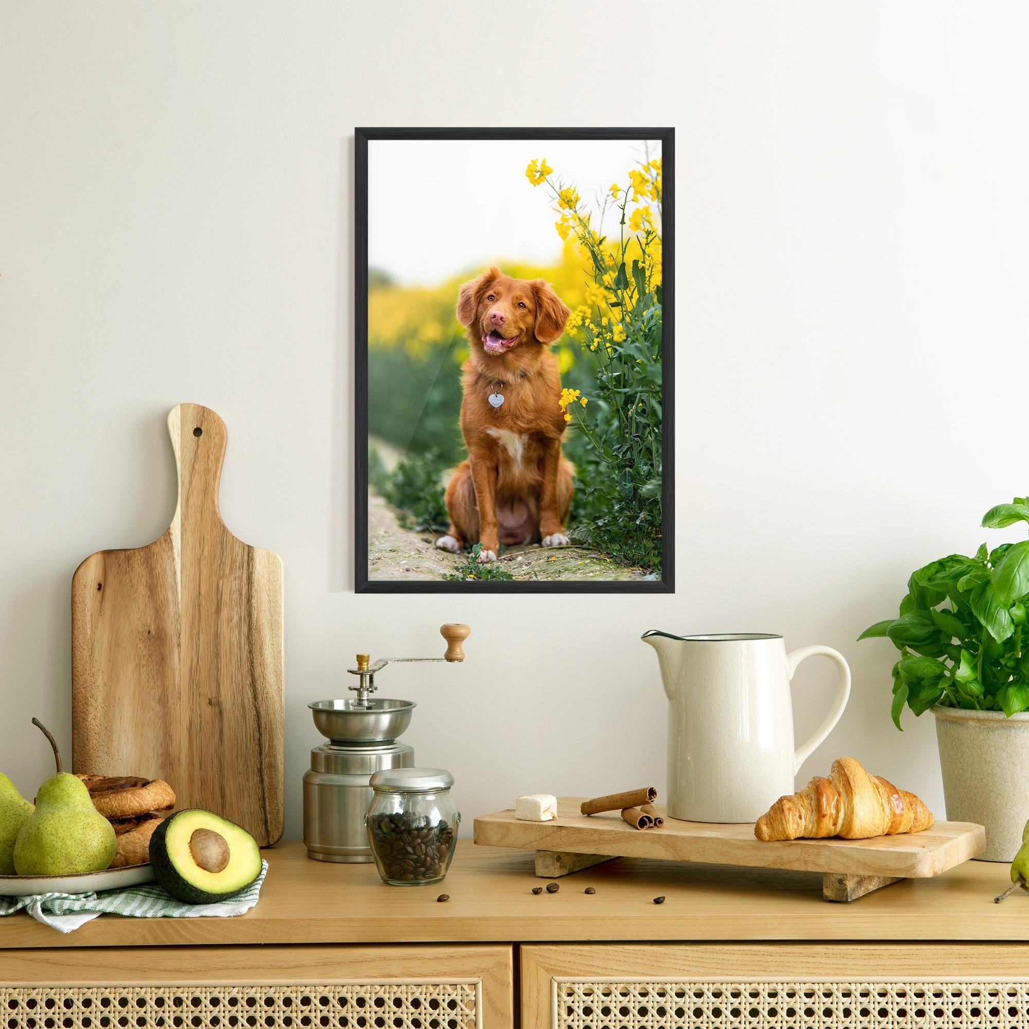 Рамкиран постер Dog Yellow Flowers mockup 8