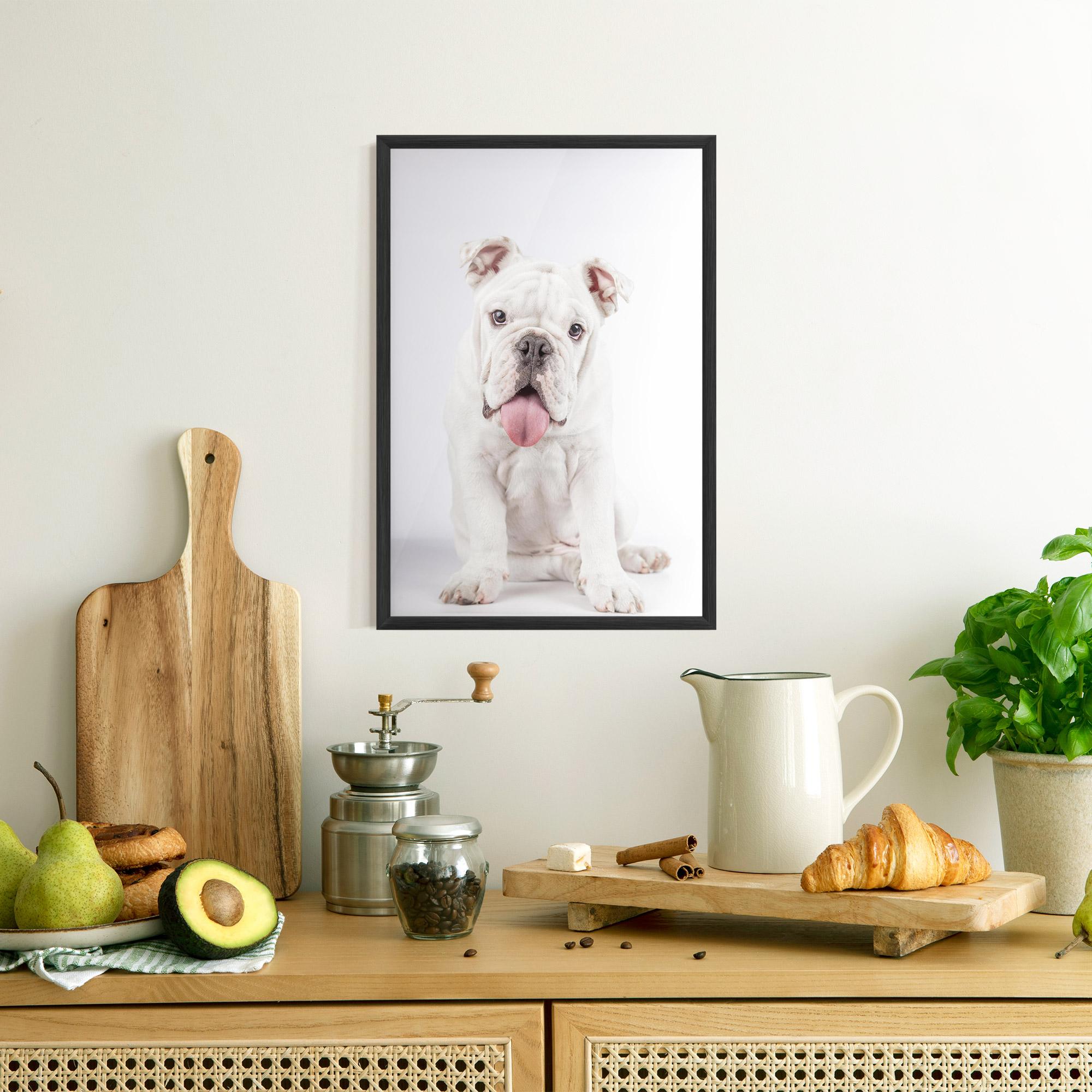 Рамкиран постер English Bulldog mockup 8