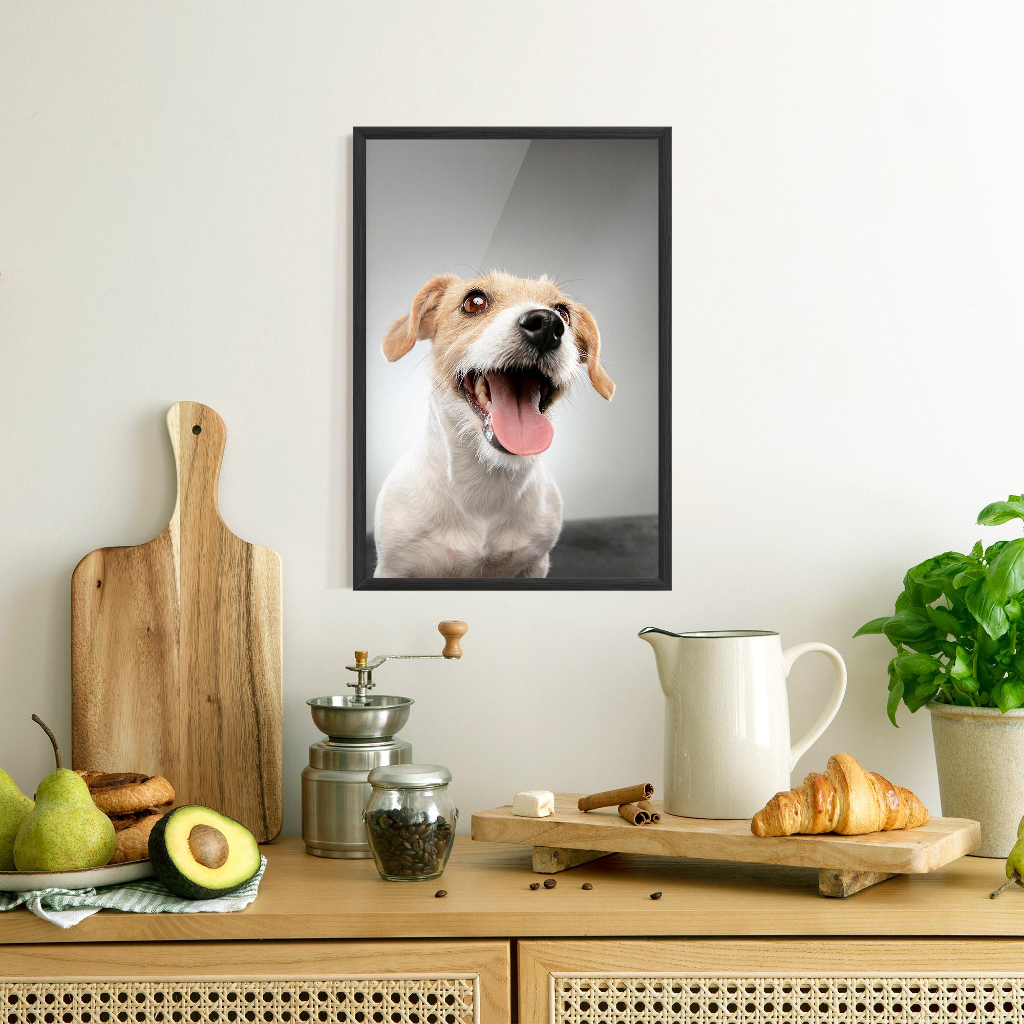 Рамкиран постер Jack Russell Terrier mockup 8