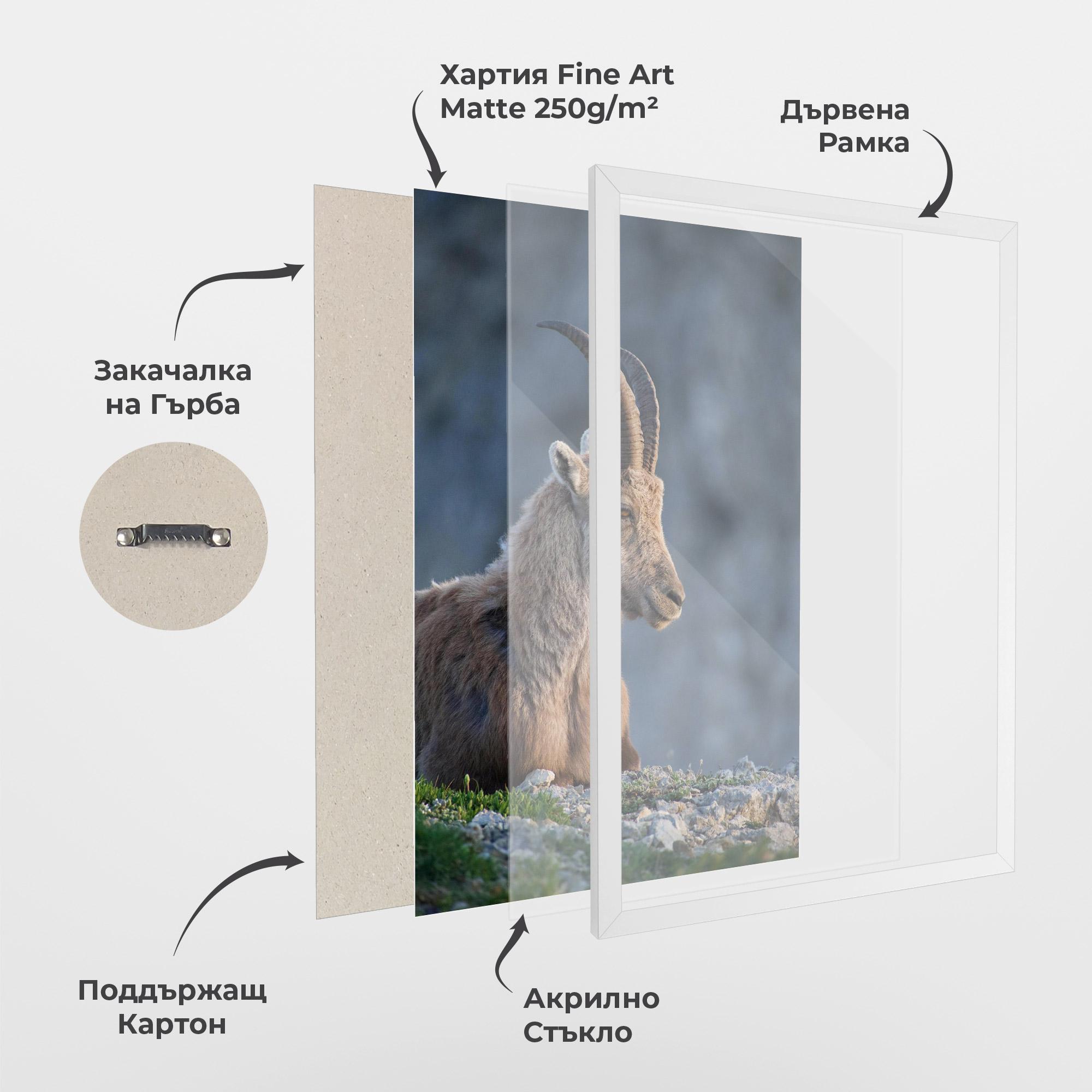 Рамкиран постер Mountain Goat mockup 1