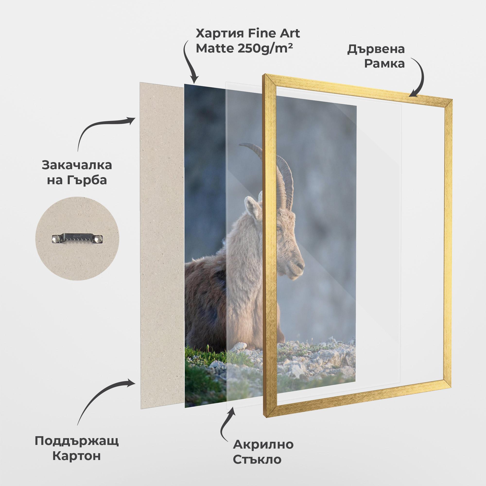 Рамкиран постер Mountain Goat mockup 1