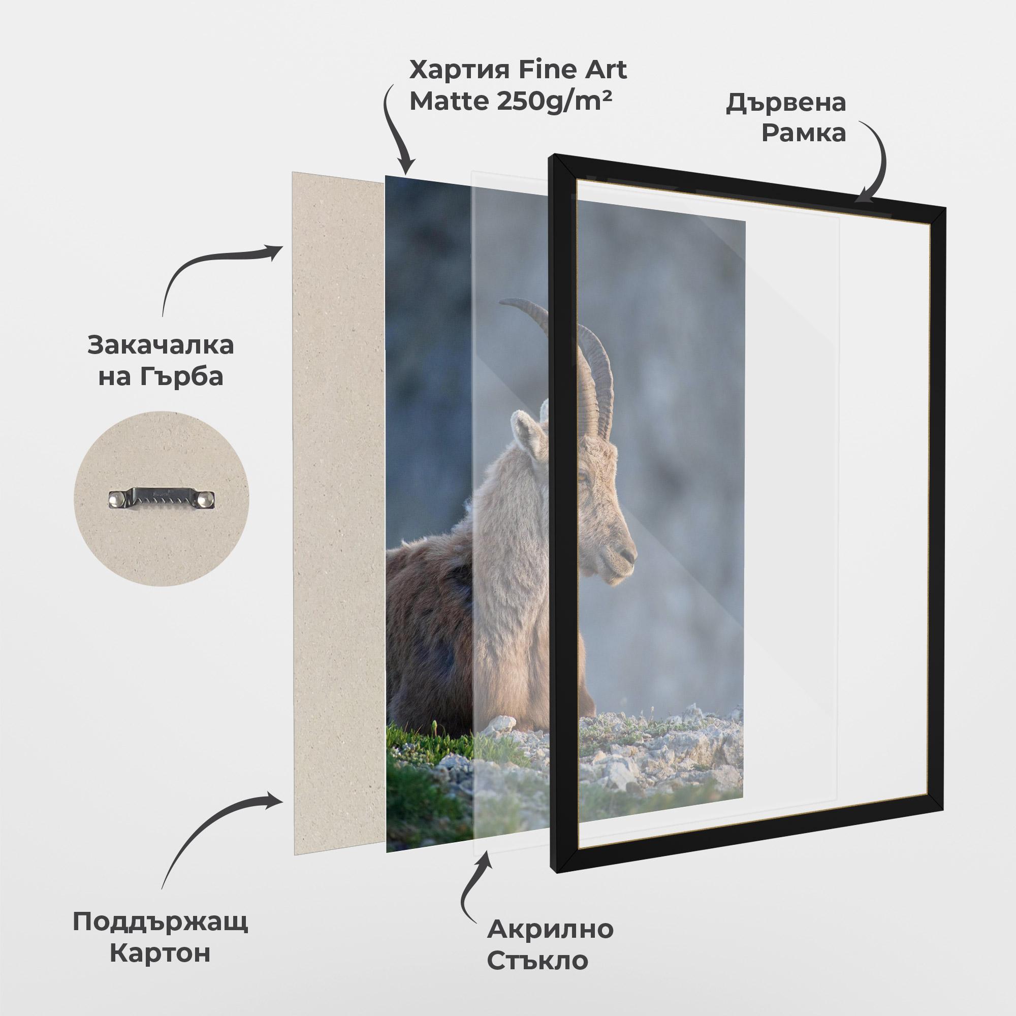 Рамкиран постер Mountain Goat mockup 1