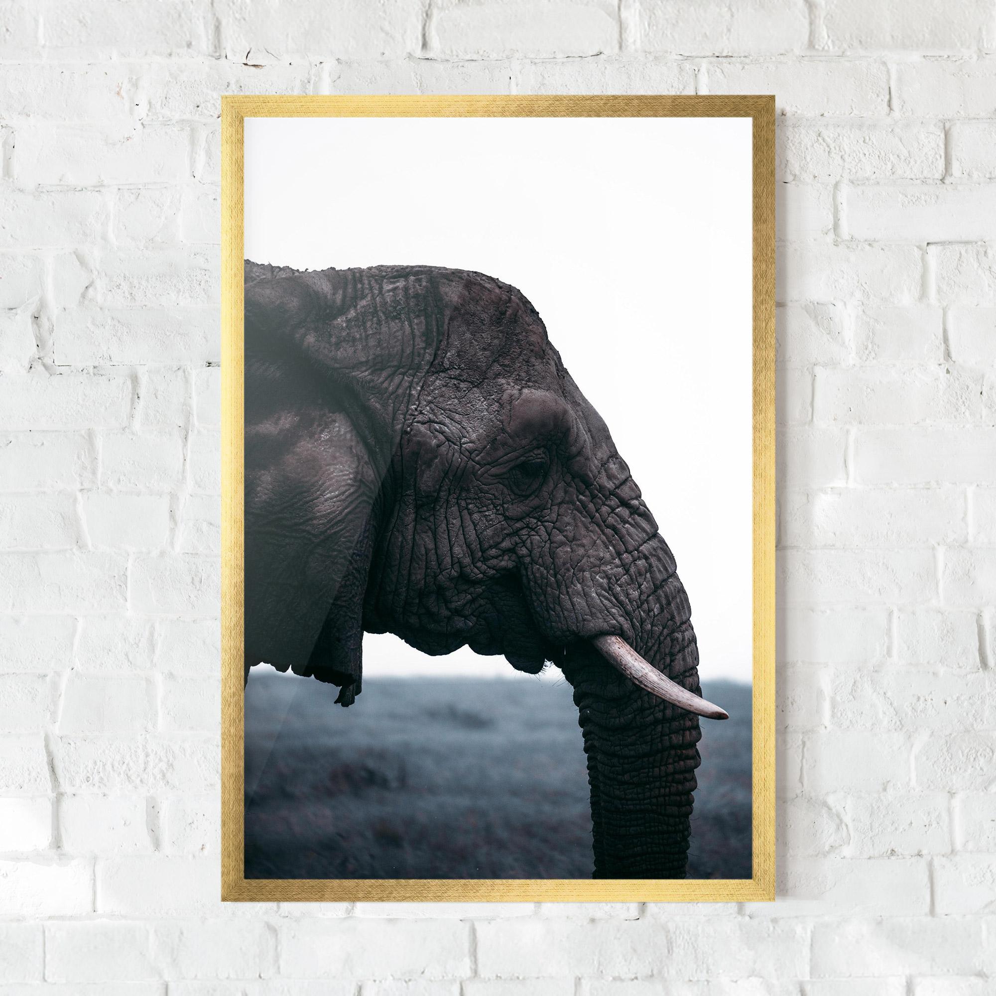 Рамкиран постер Close Grey Eelephant mockup 0