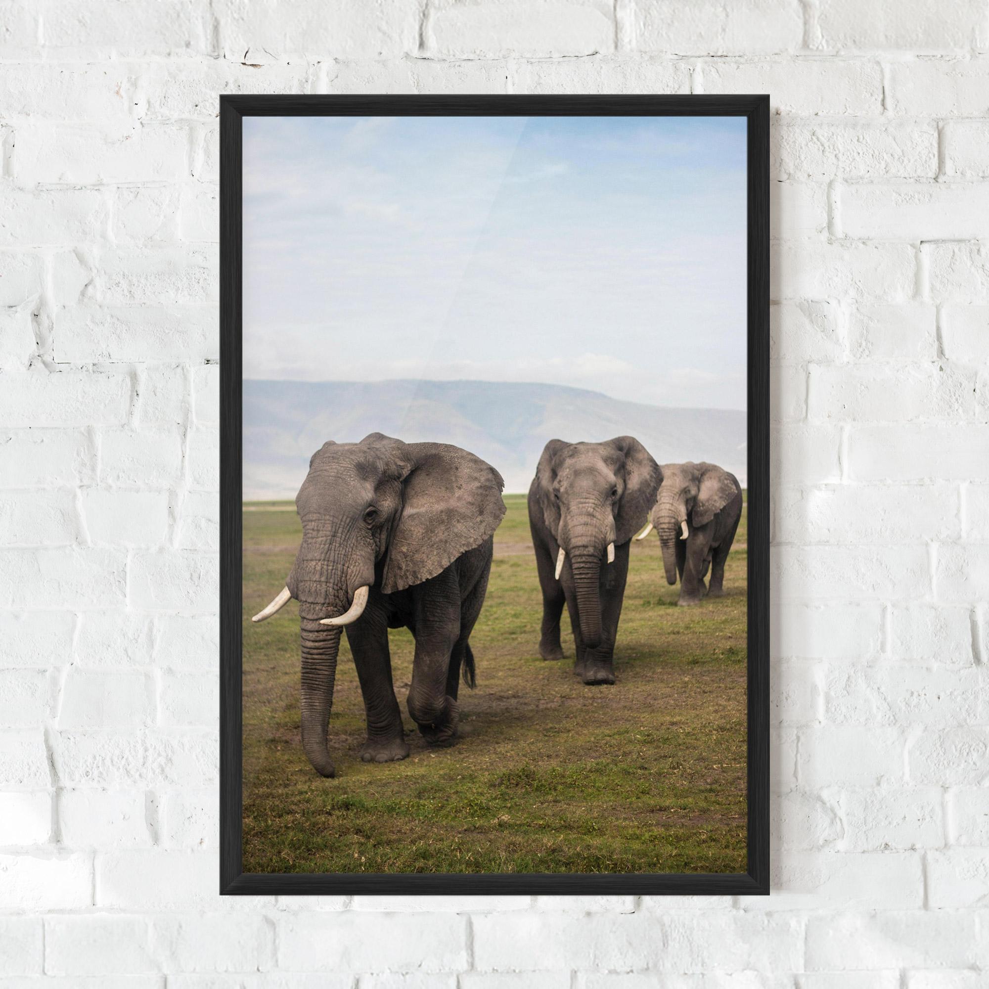Рамкиран постер Elephant Landscape mockup 0