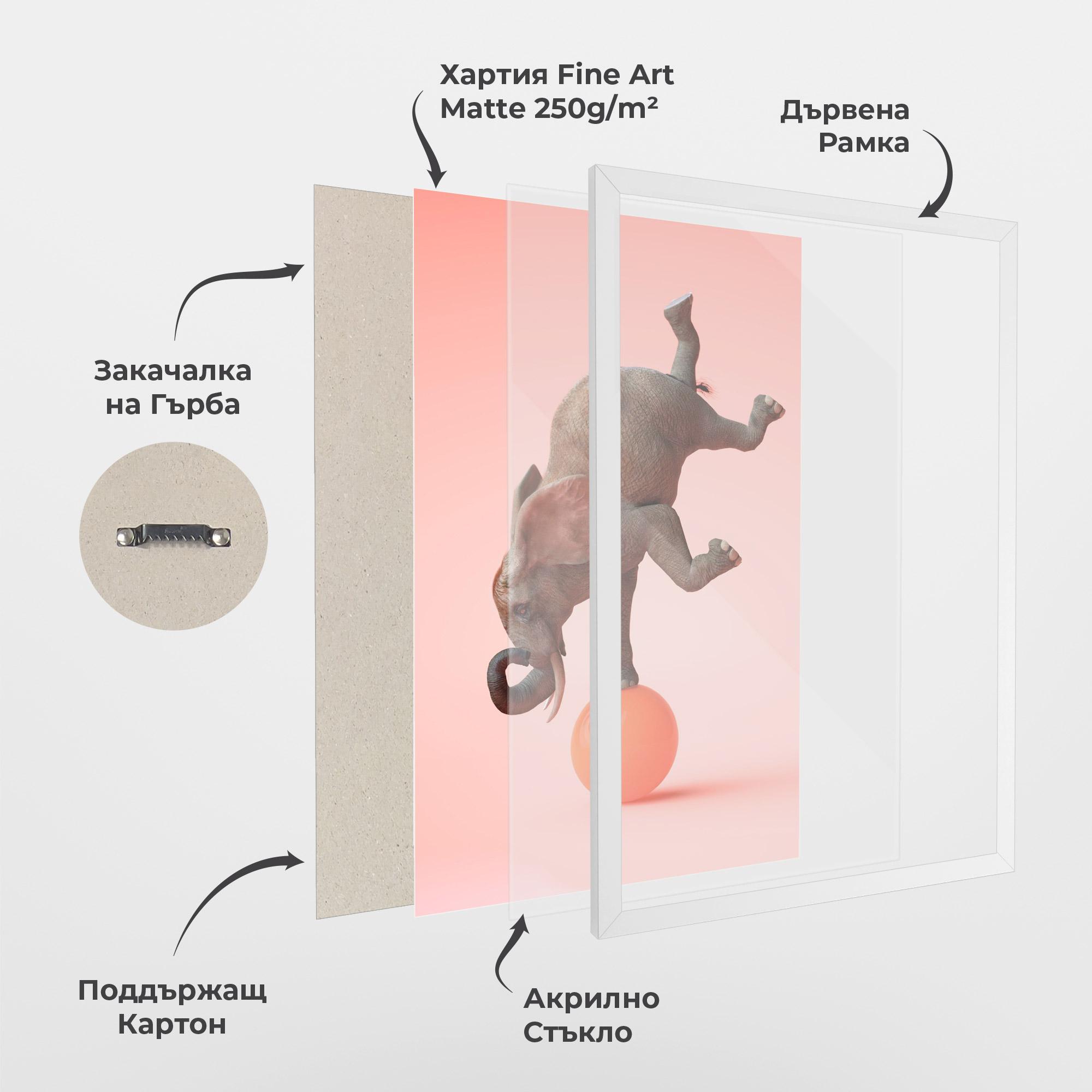 Рамкиран постер Ball Elephant mockup 1