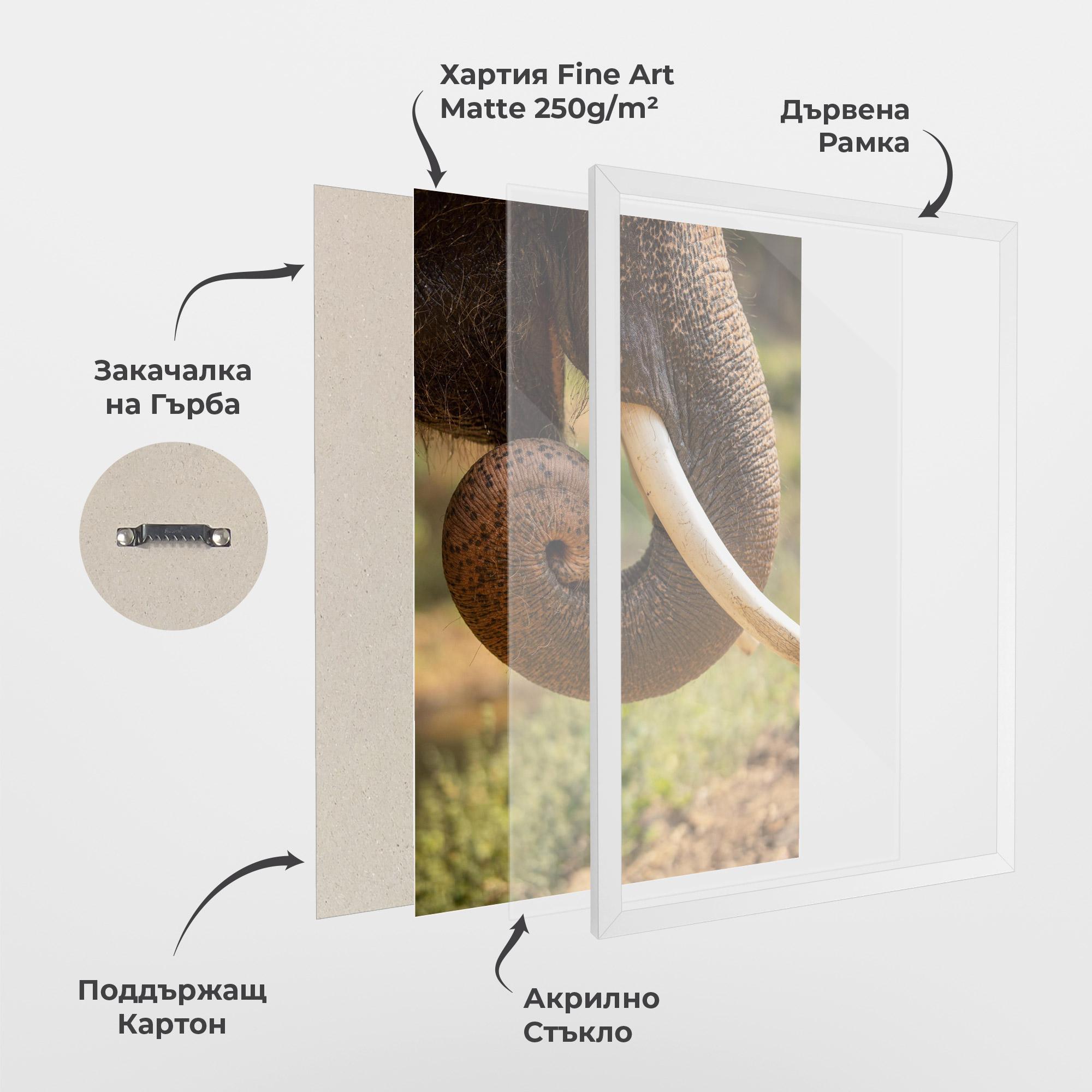 Рамкиран постер Elephant Mouth Close Up mockup 1