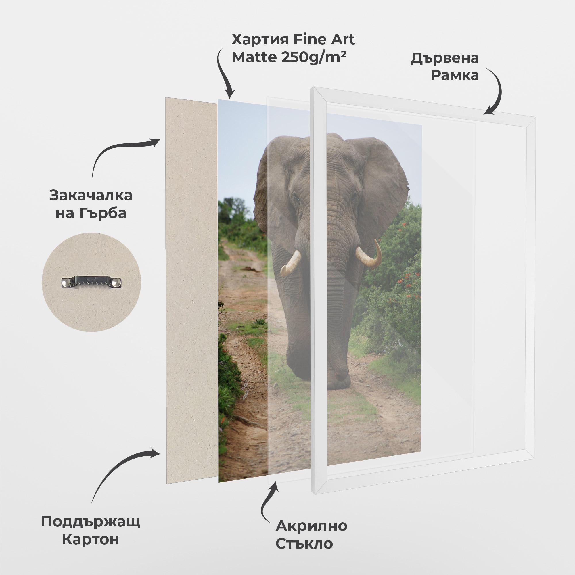 Рамкиран постер Elephant Safari mockup 1