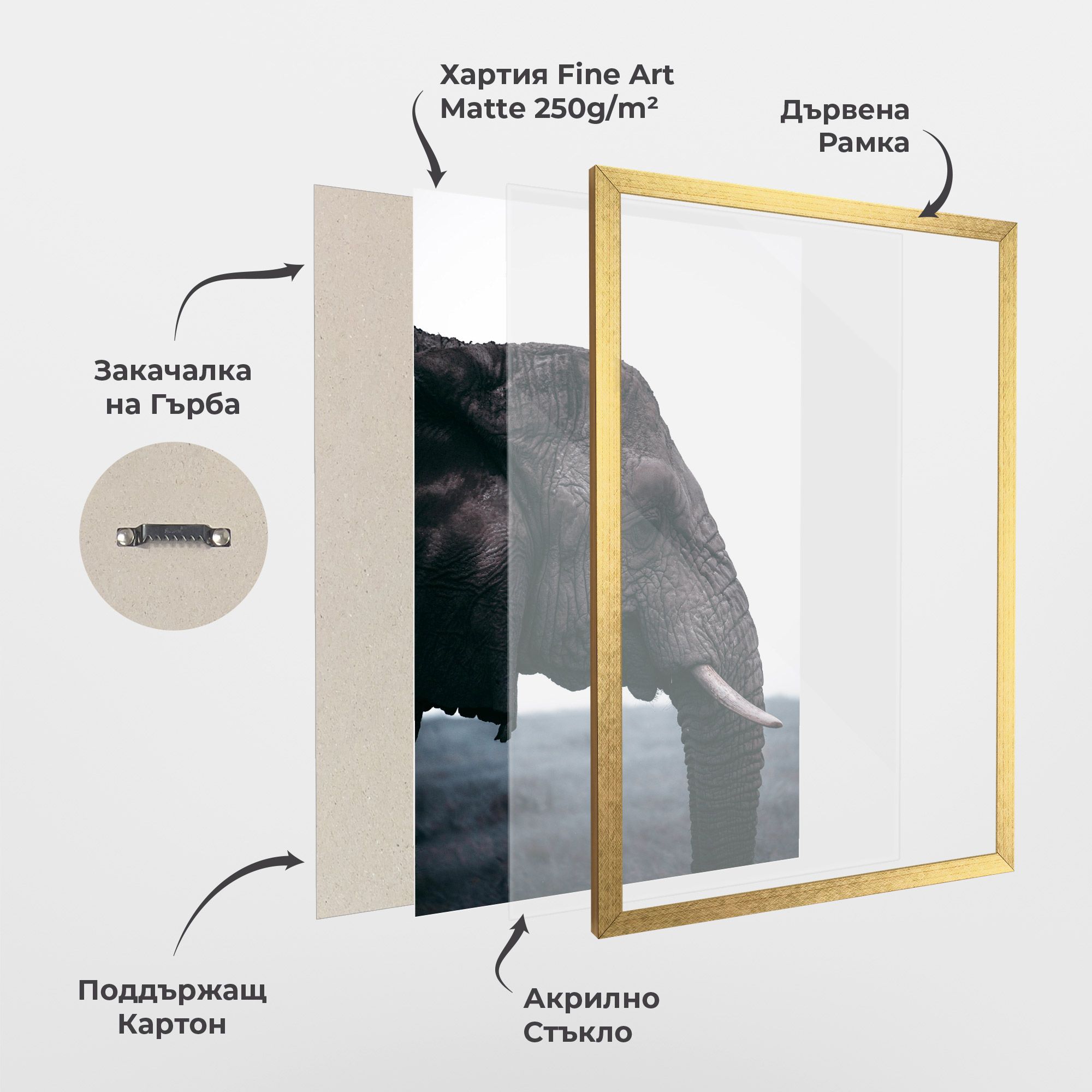 Close Grey Eelephant mockup 1