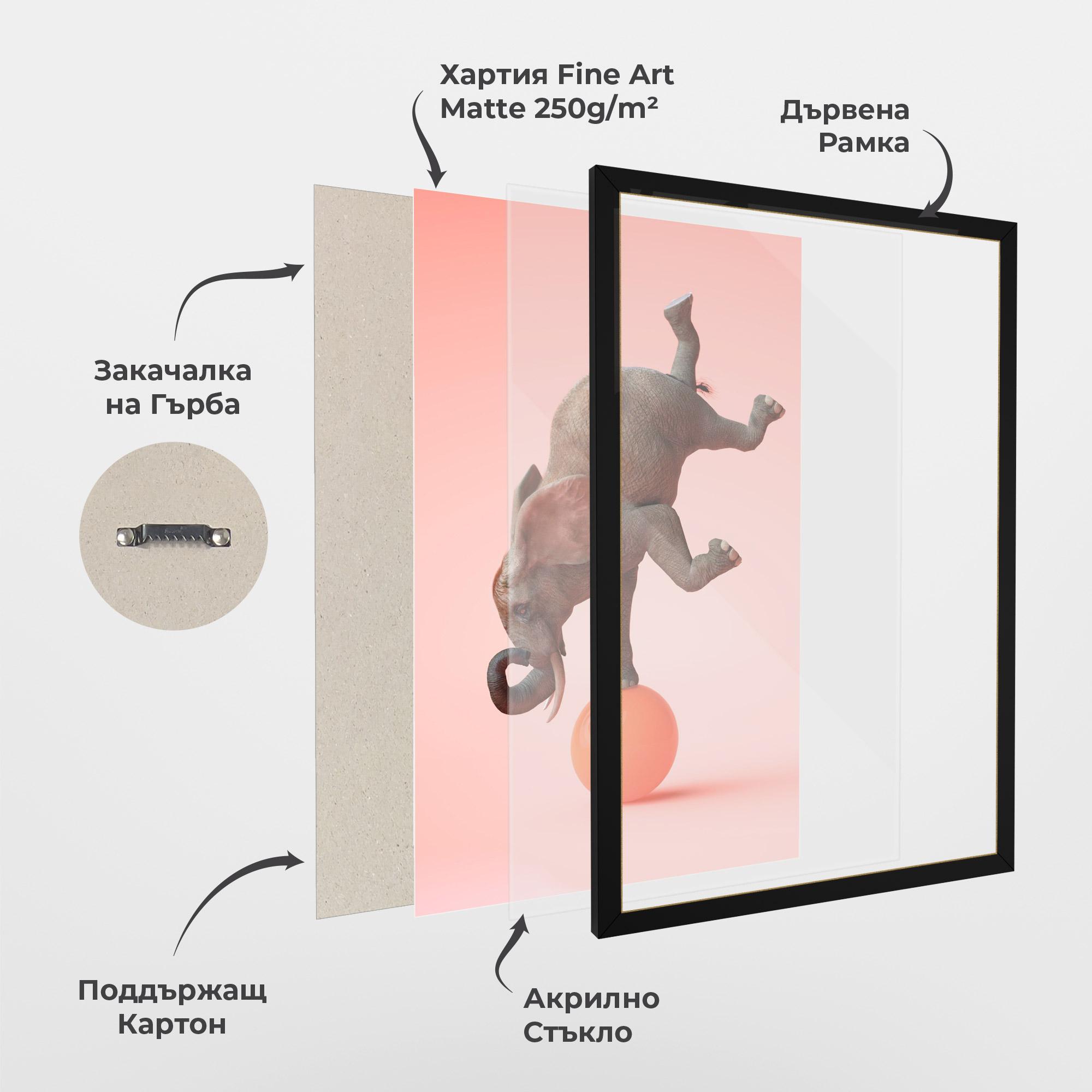 Рамкиран постер Ball Elephant mockup 1