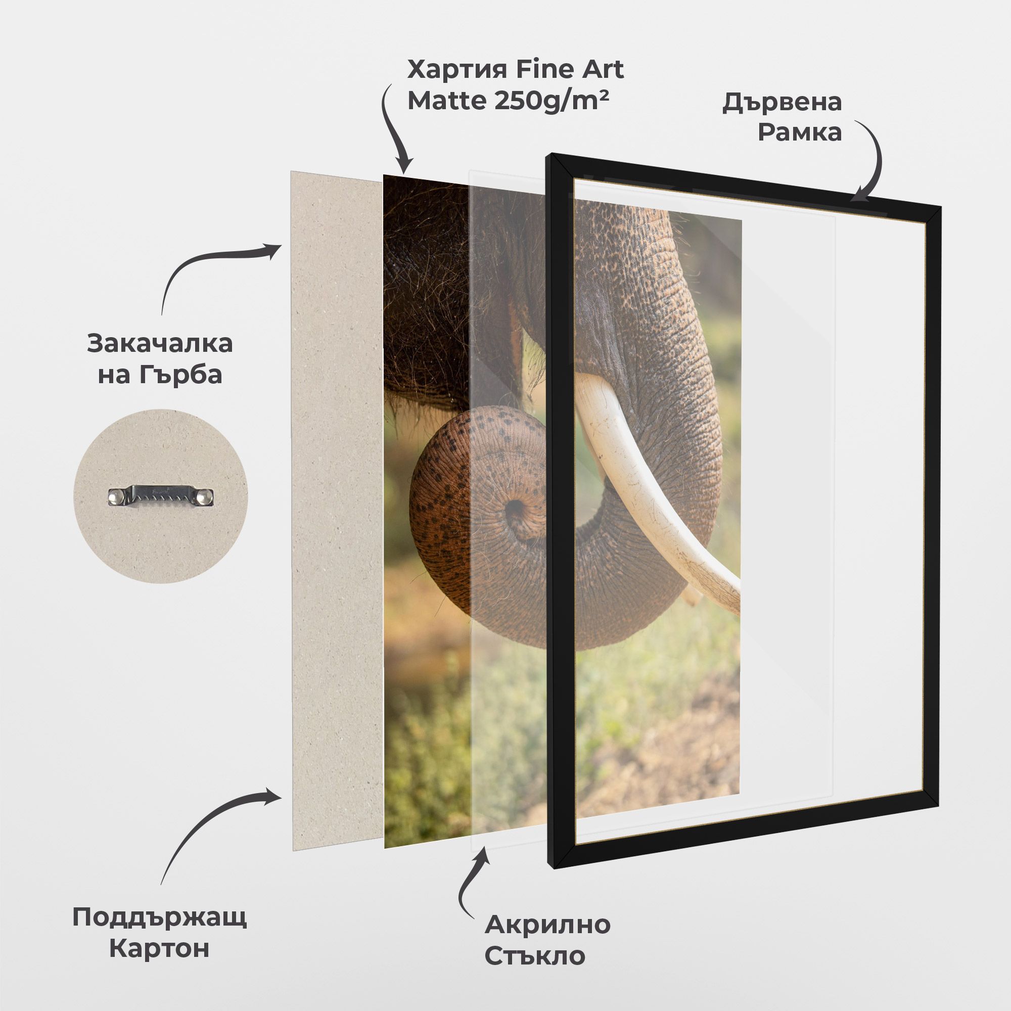 Elephant Mouth Close Up mockup 1