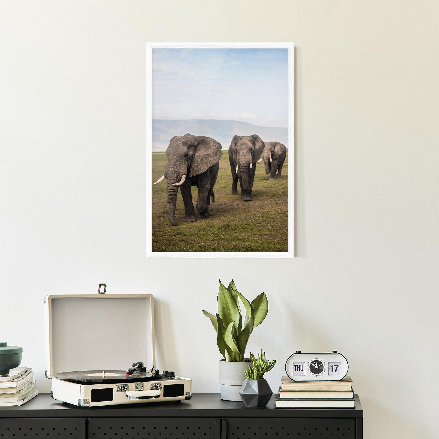 Рамкиран постер Elephant Landscape mockup 2