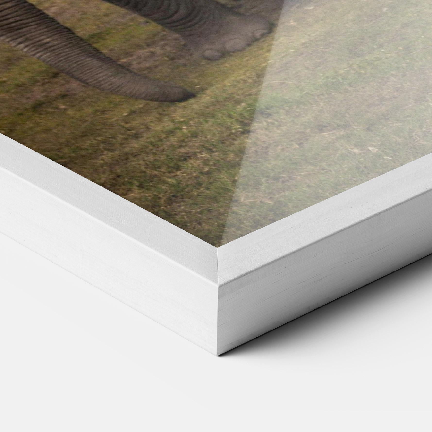 Рамкиран постер Elephant Landscape mockup 3