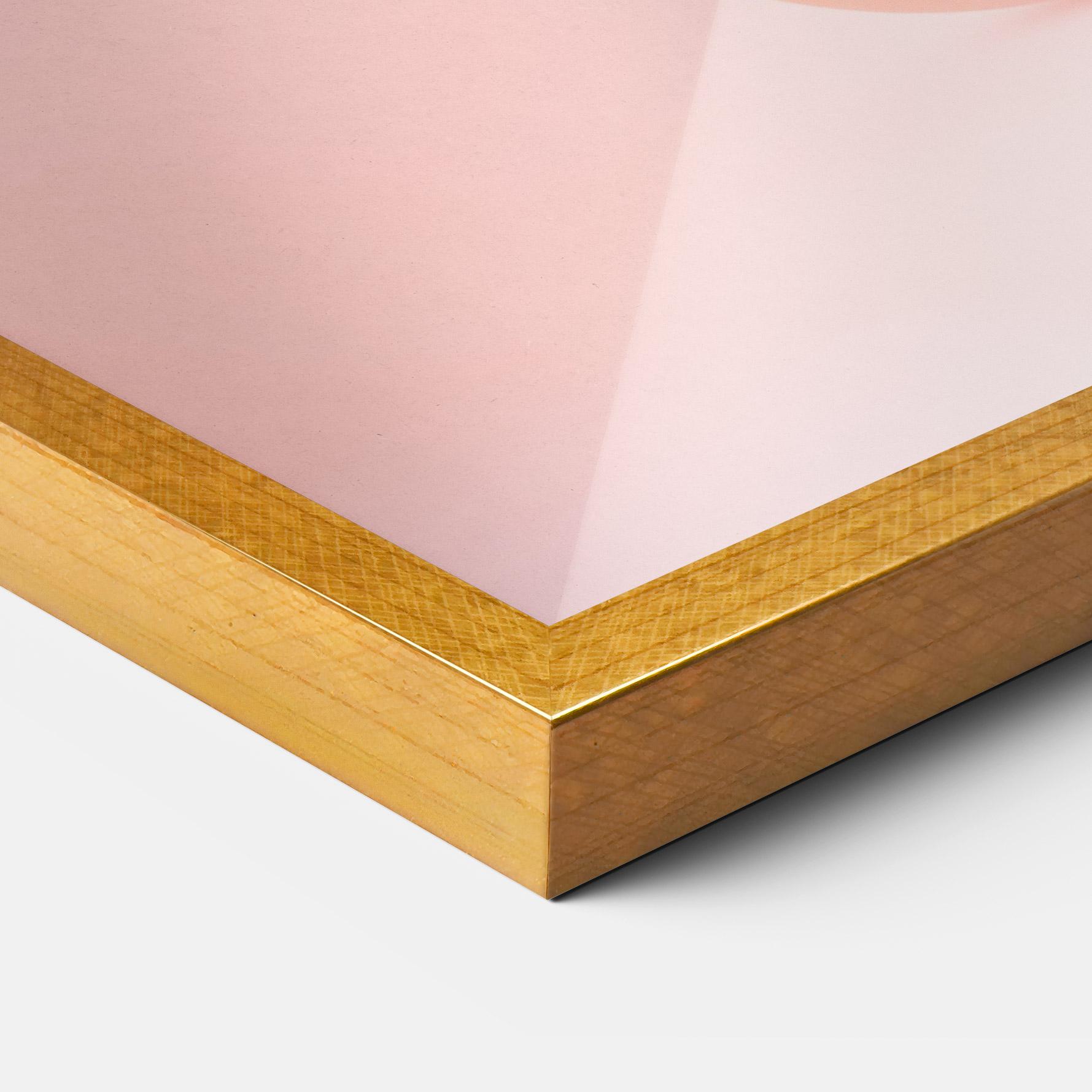 Рамкиран постер Ball Elephant mockup 3