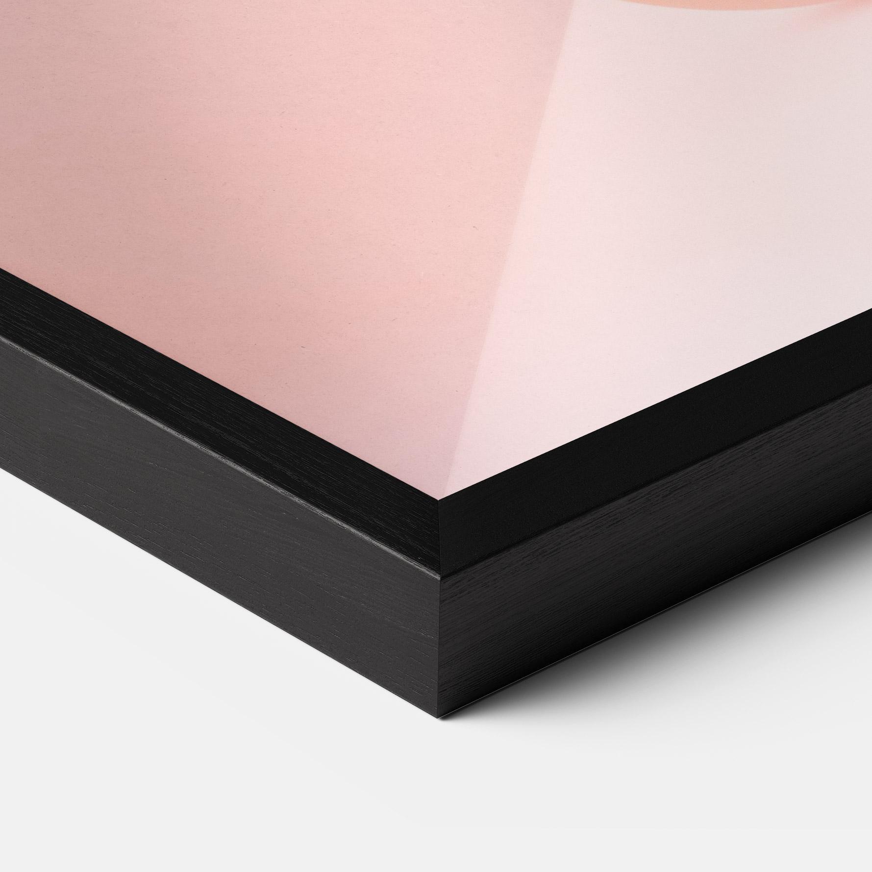 Рамкиран постер Ball Elephant mockup 3