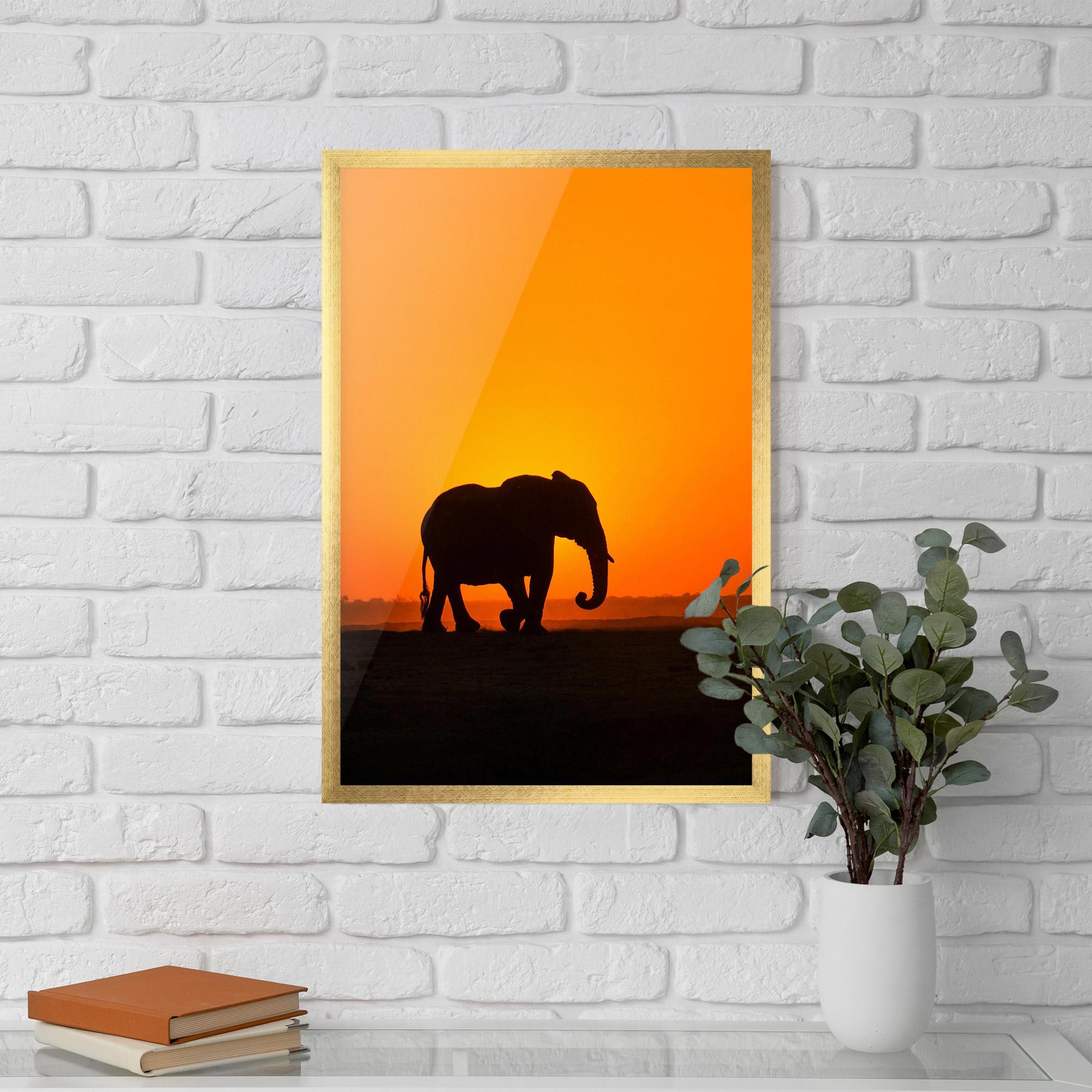 Рамкиран постер Beautiful Elephant mockup 5