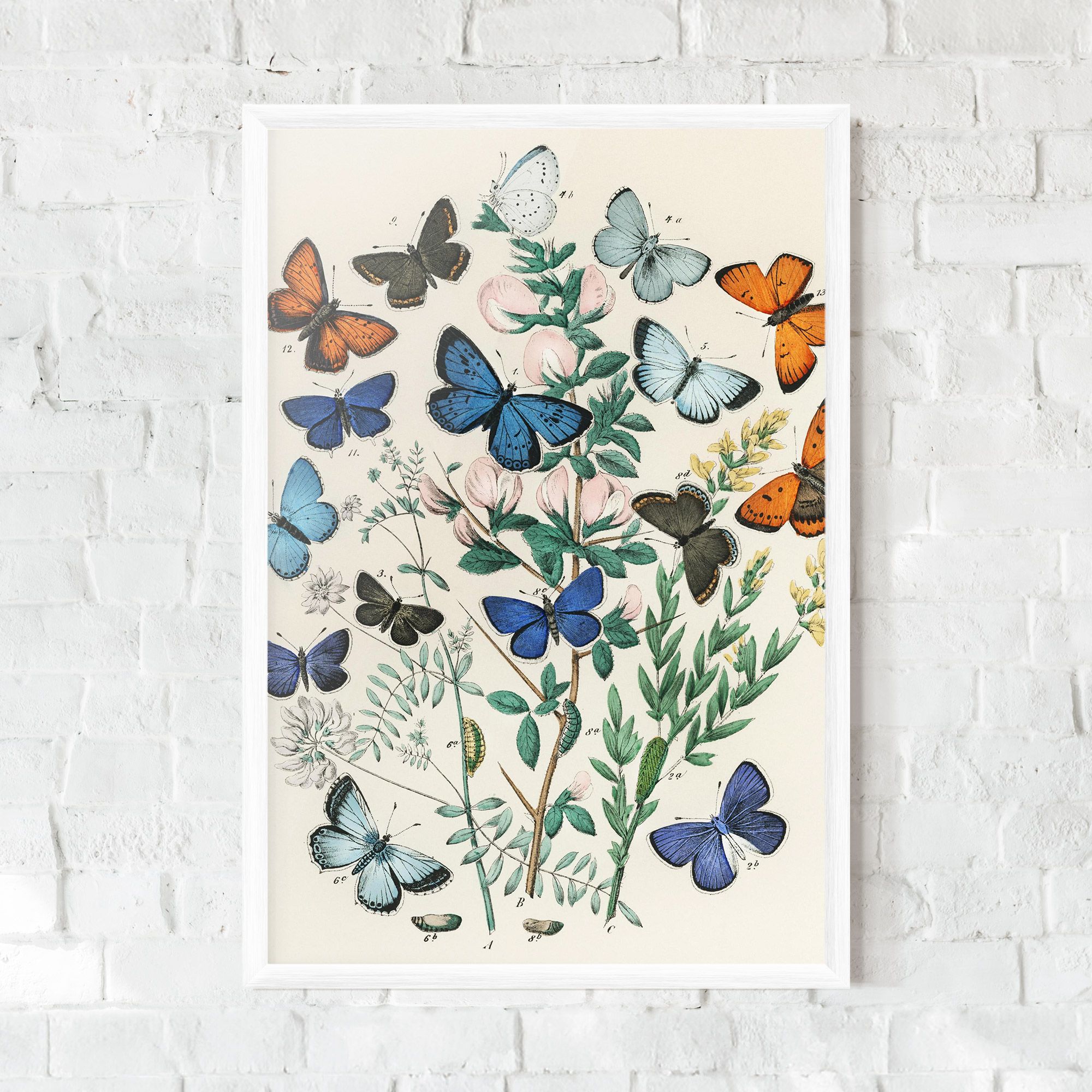 Blue Orange Butterflies mockup 0