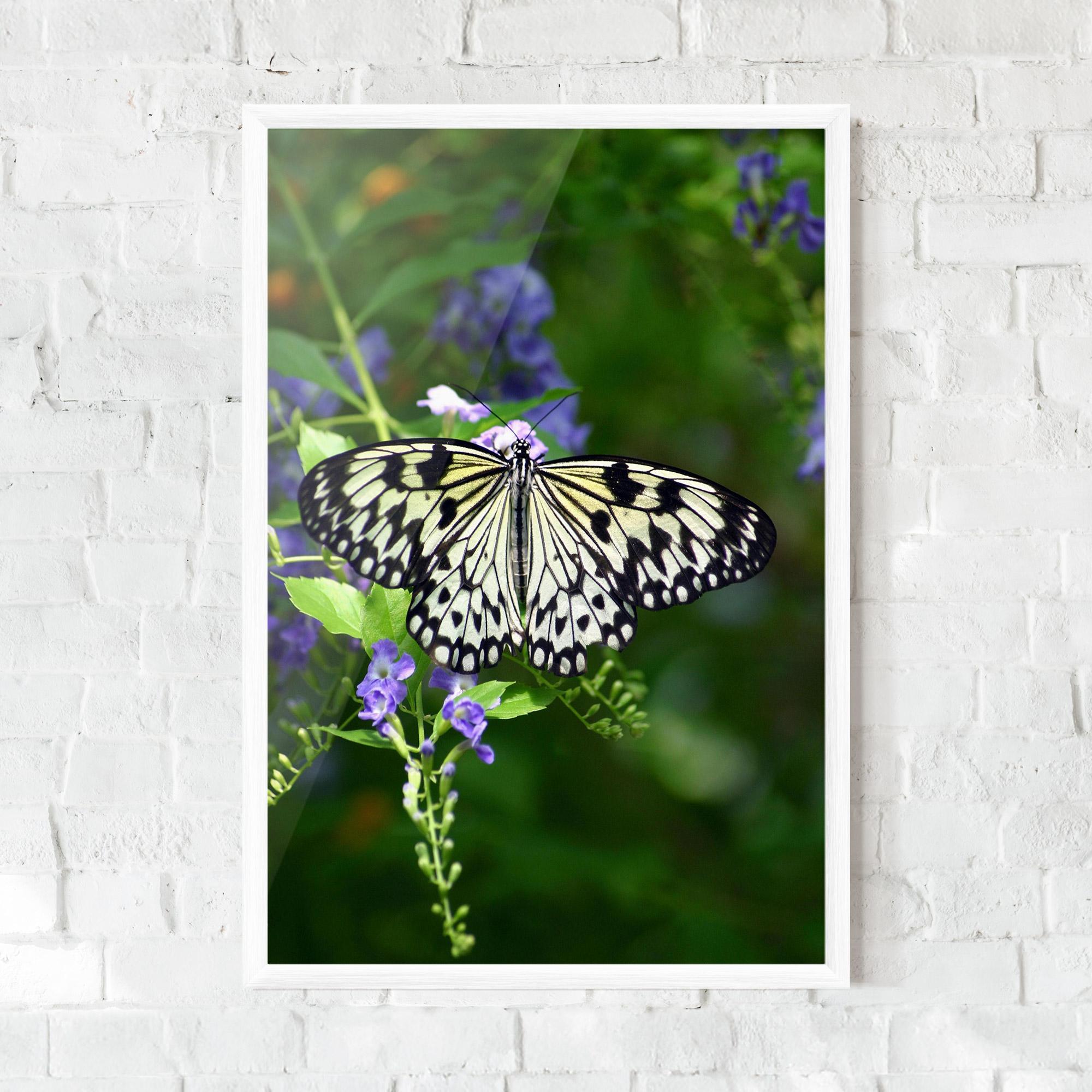Рамкиран постер Pretty White Butterfly mockup 0
