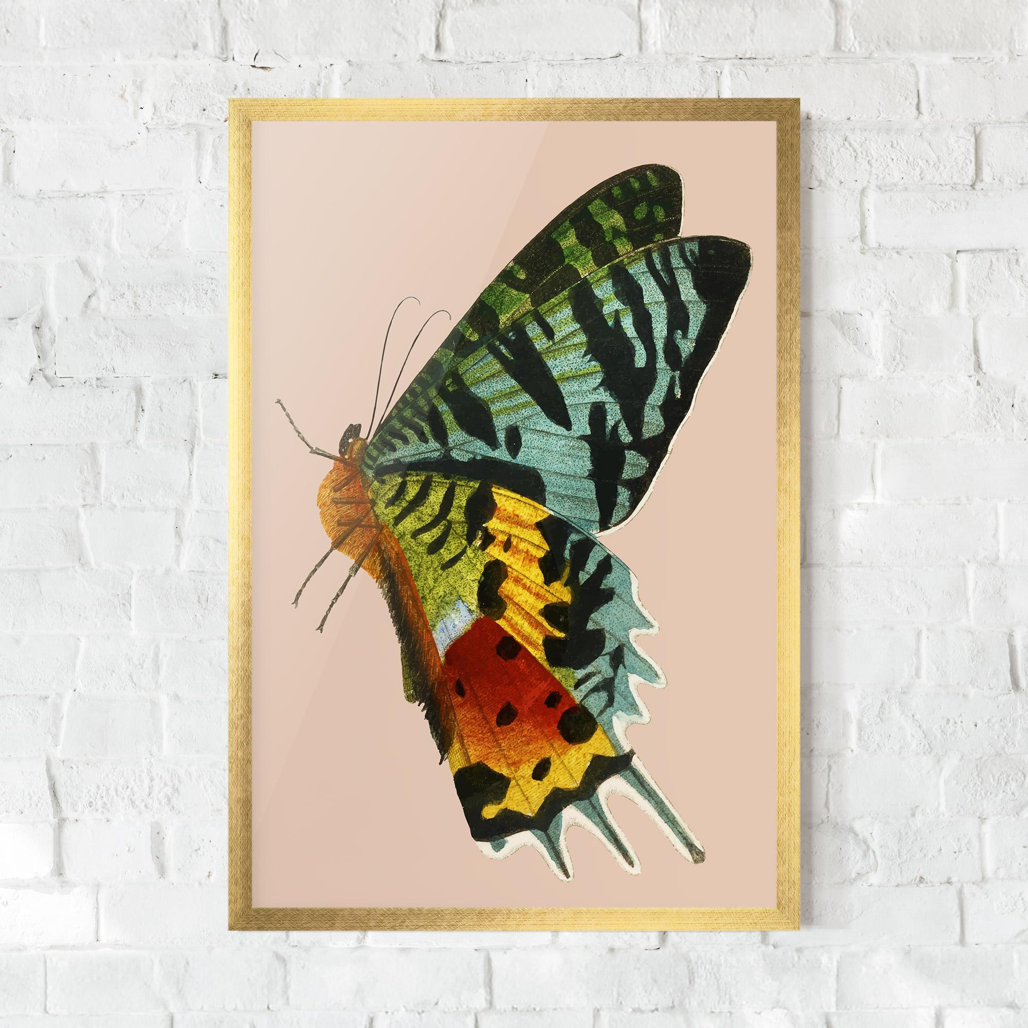 Рамкиран постер Butterfly On Pink mockup 0