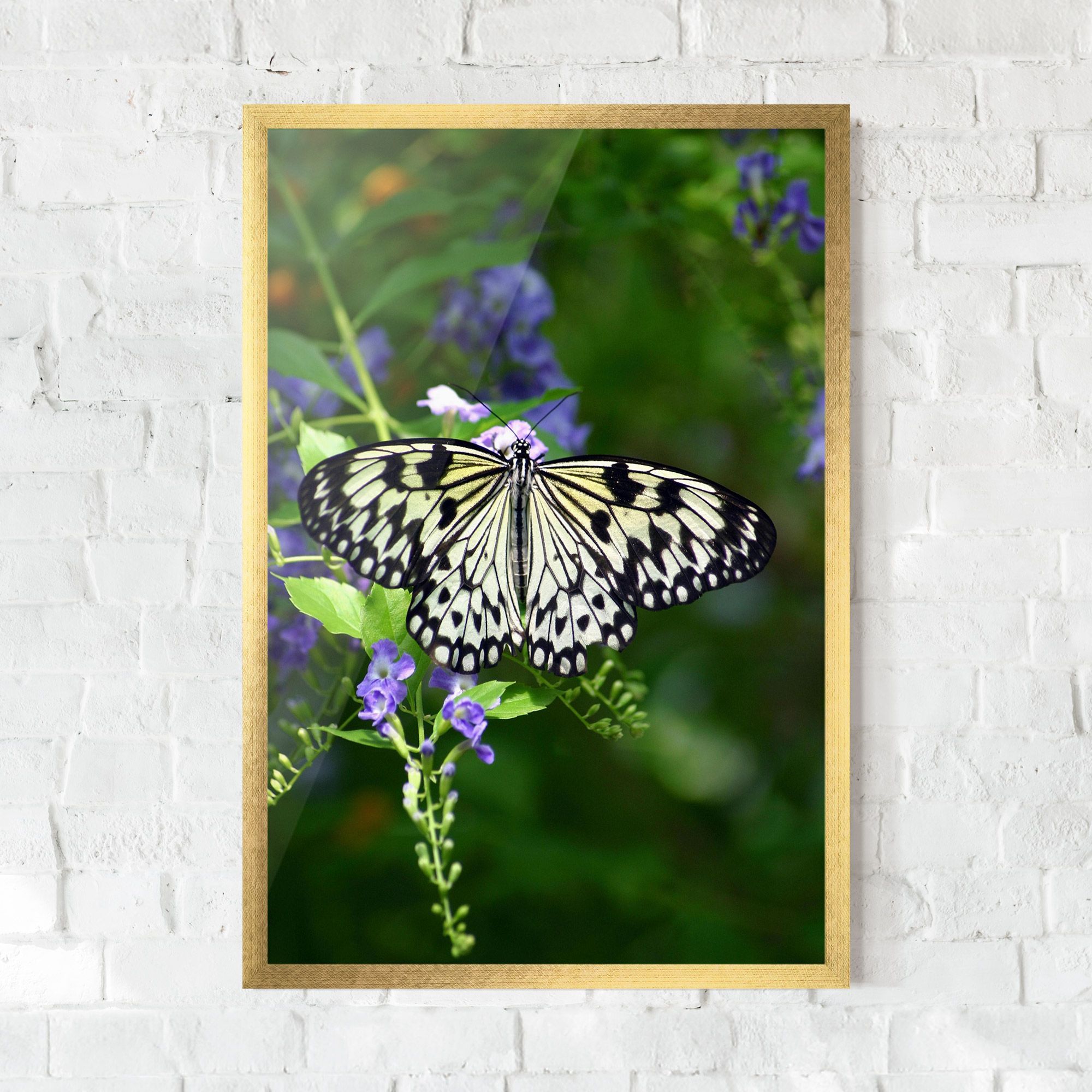 Pretty White Butterfly mockup 0