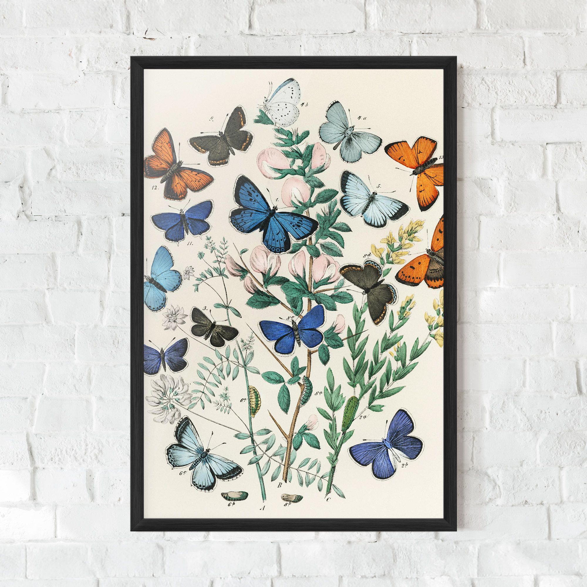 Blue Orange Butterflies mockup 0