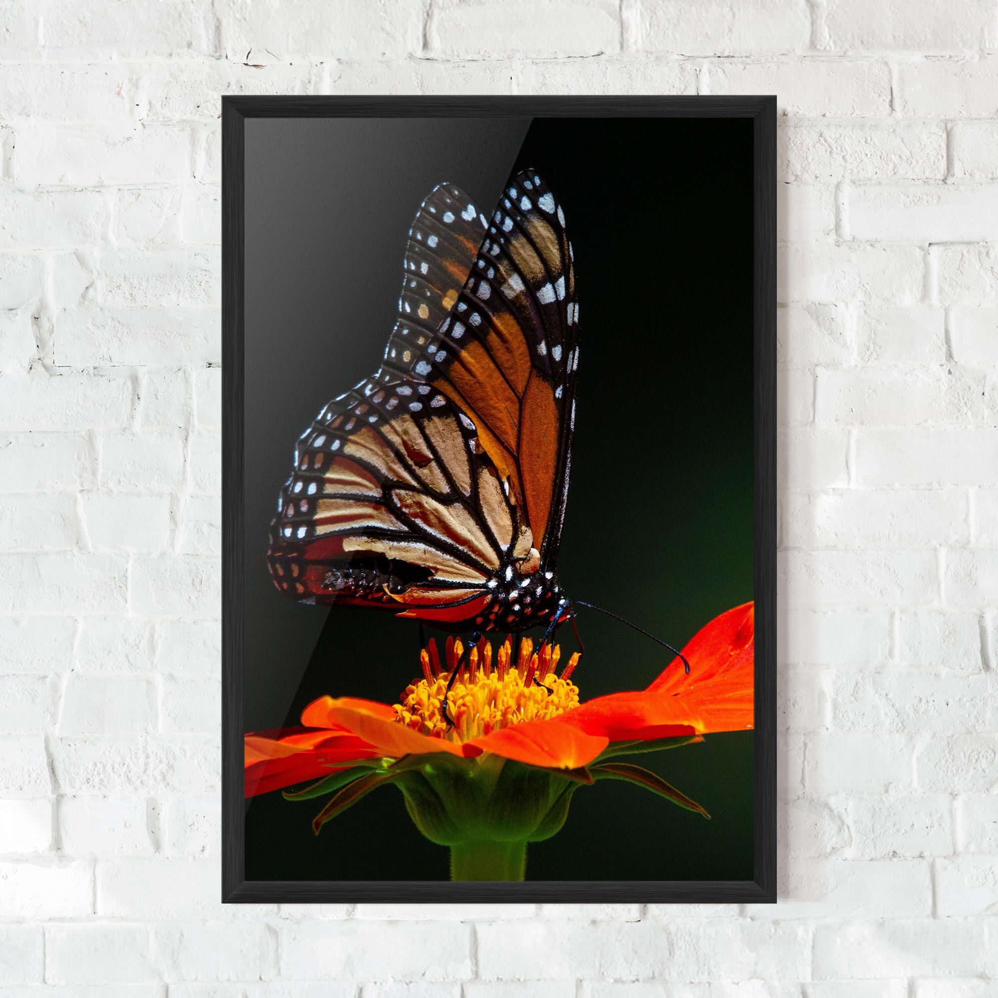 Dark Orange Butterfy mockup 0
