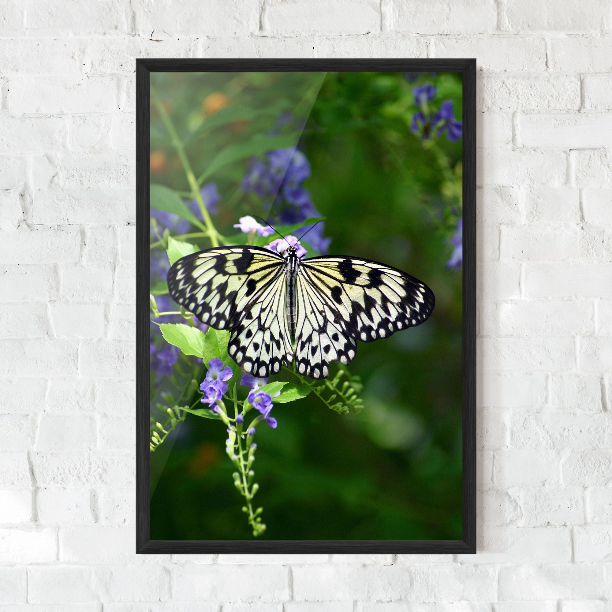Pretty White Butterfly mockup 0
