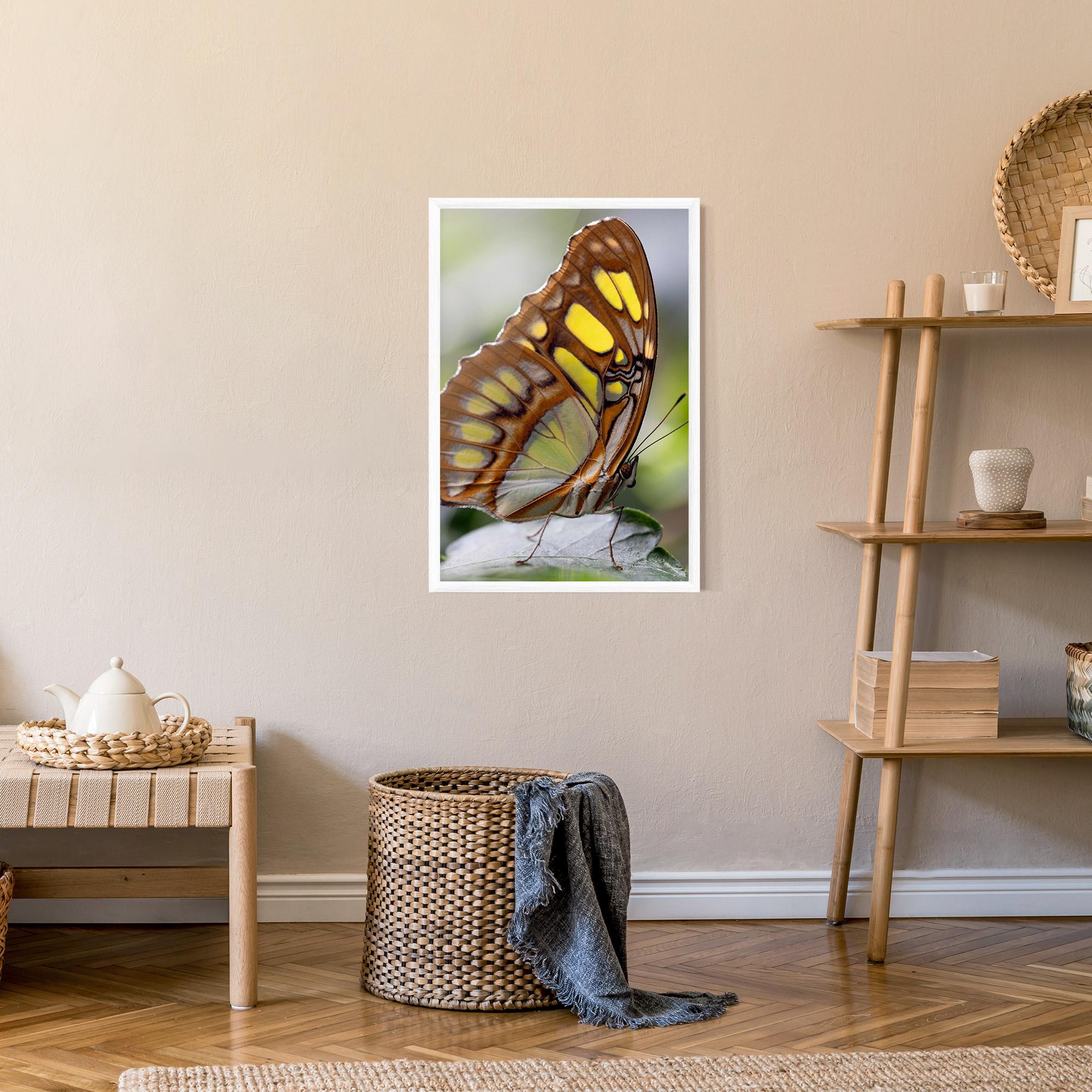 Рамкиран постер Brown Yellow Butterfly mockup 9