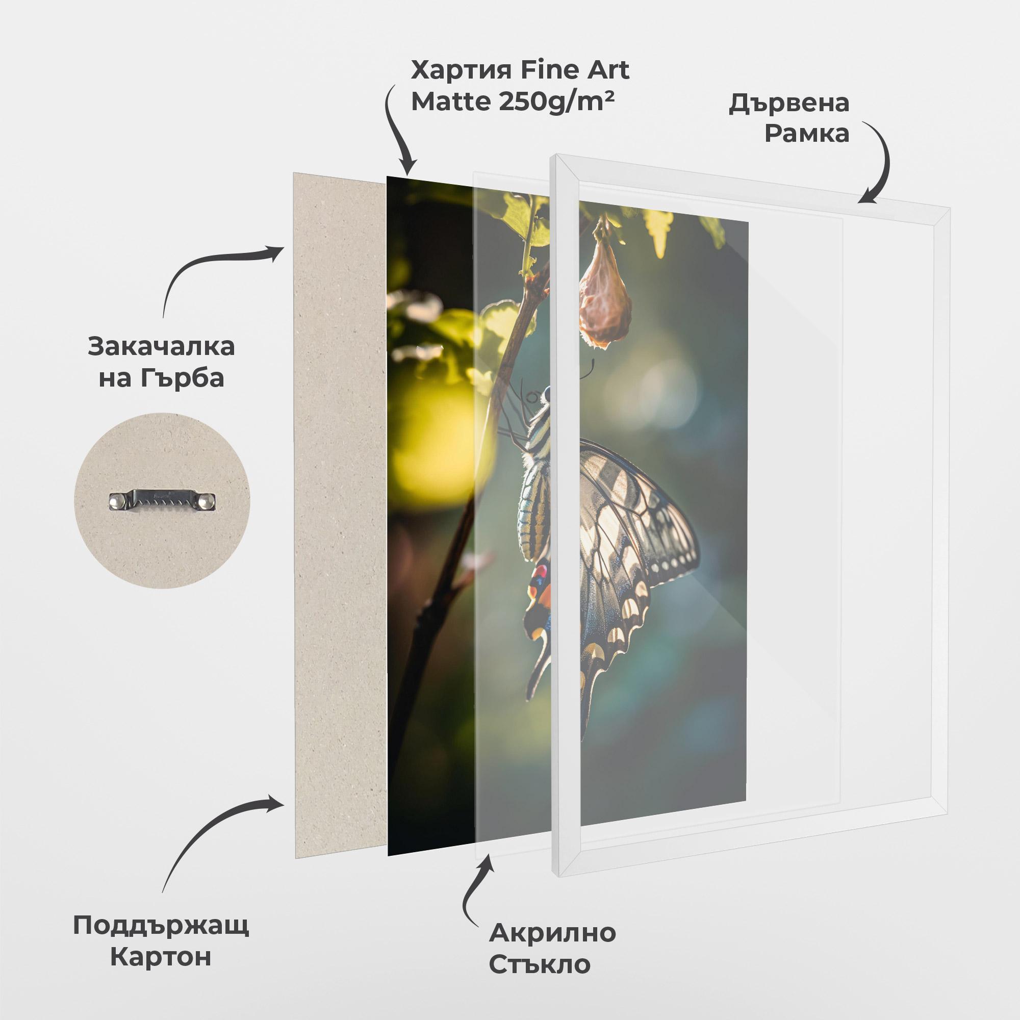 Рамкиран постер Blue Cream Butterfly mockup 1