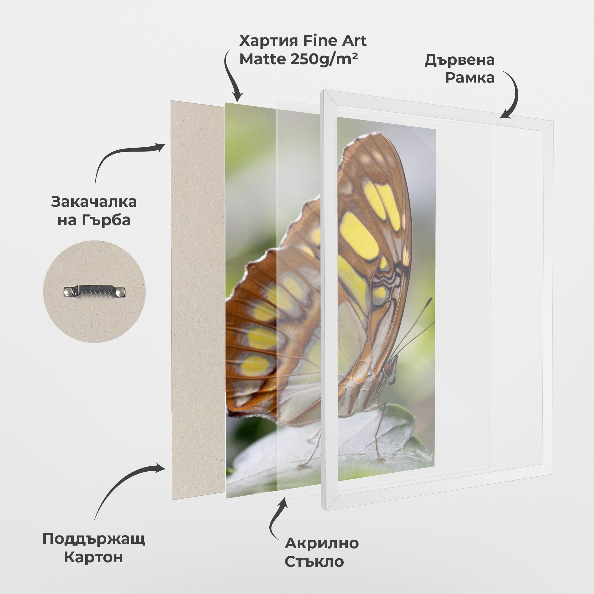 Brown Yellow Butterfly mockup 1