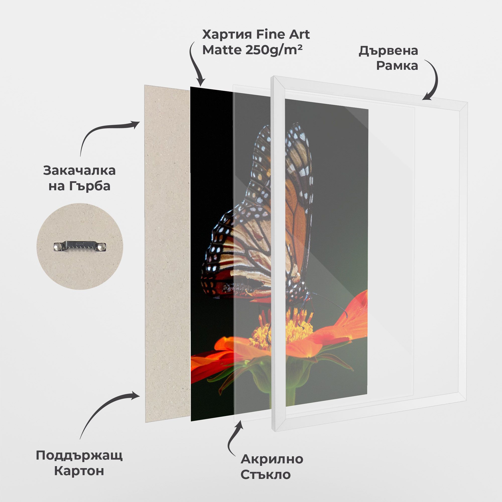 Dark Orange Butterfy mockup 1