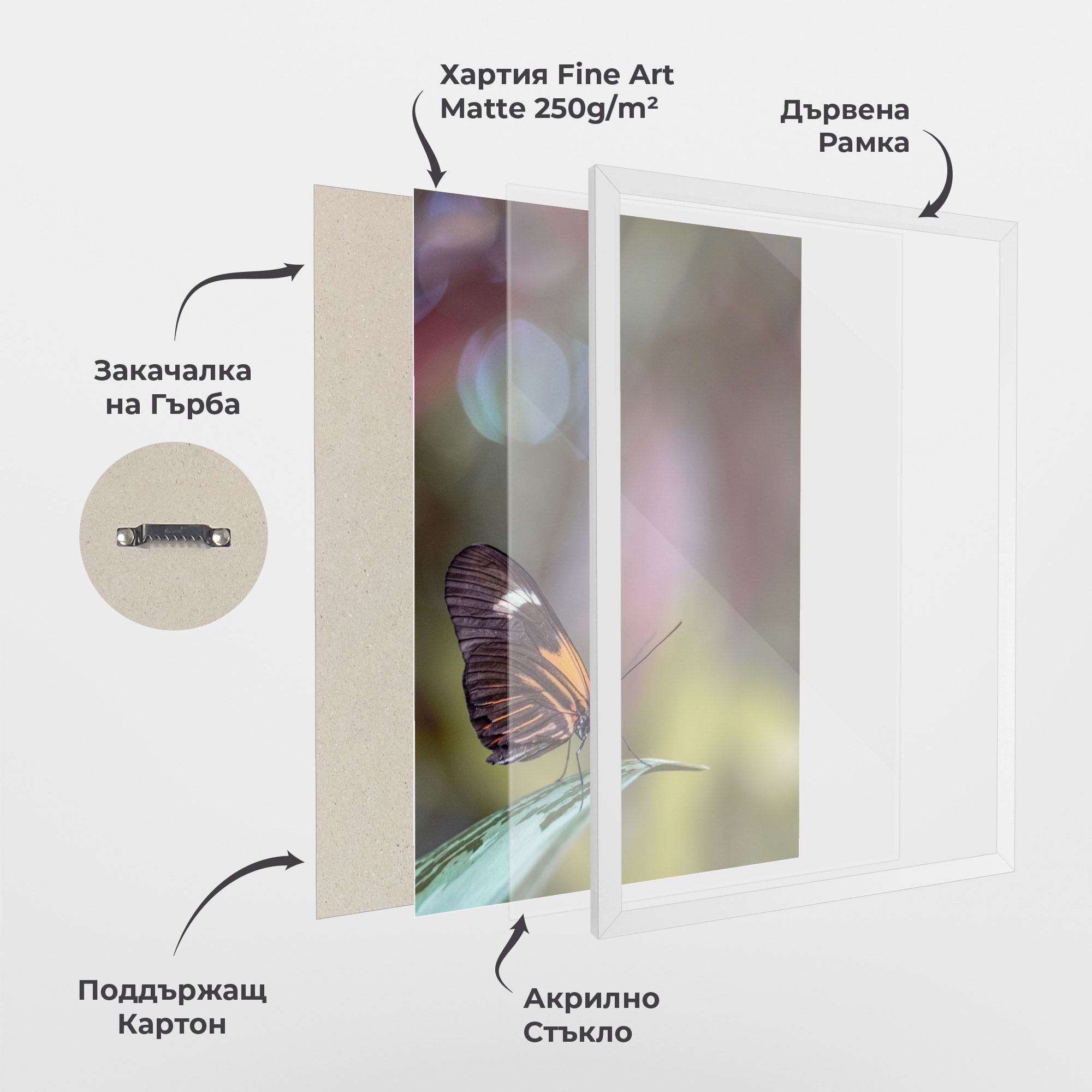 Dark Purple Butterfly mockup 1