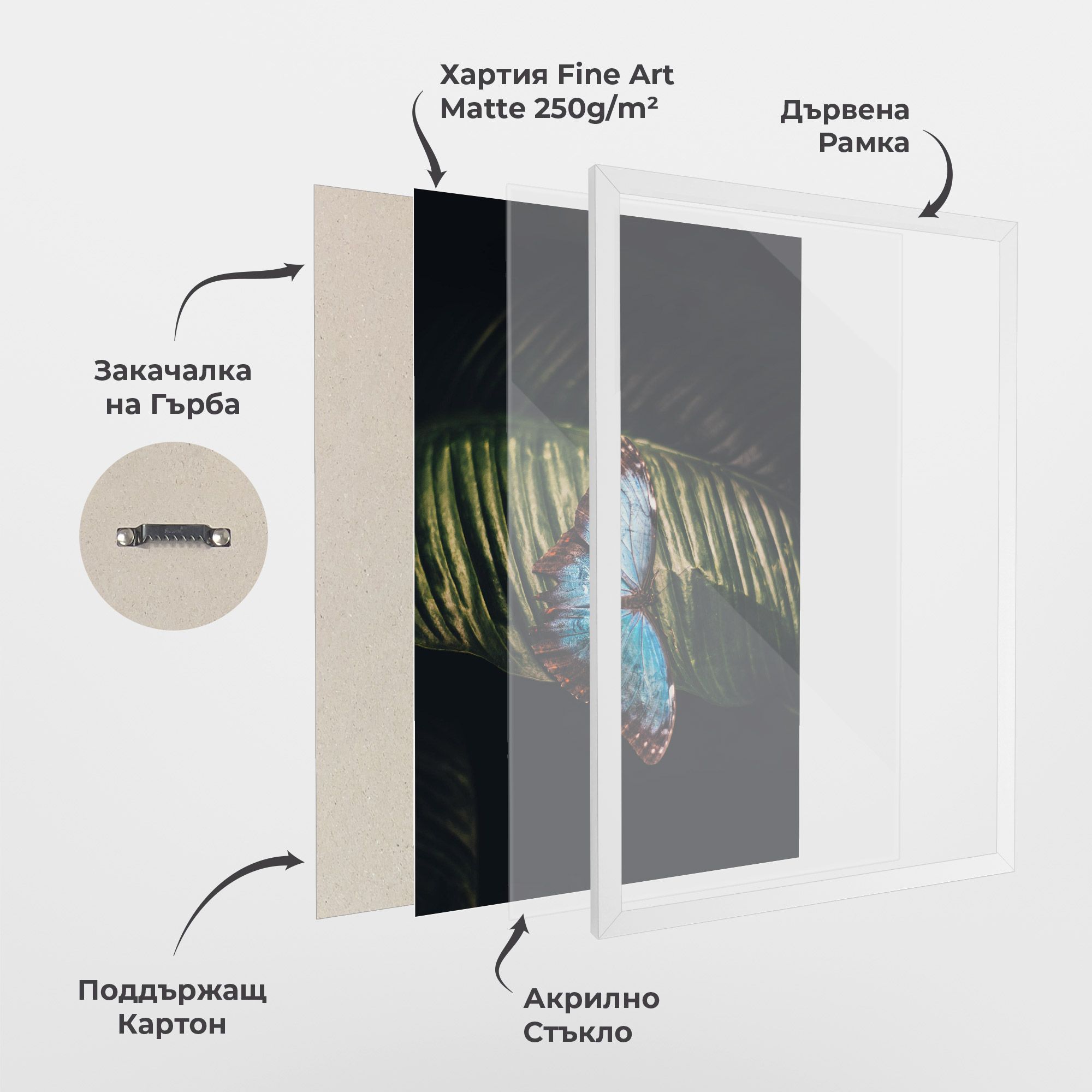 Light Blue Butterfly mockup 1