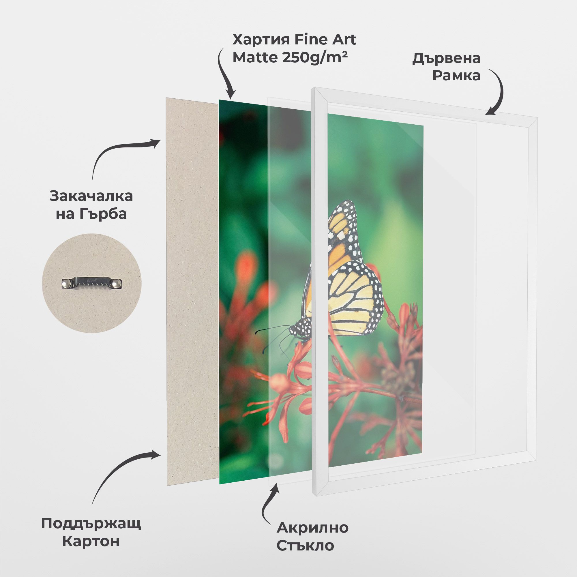 Small Orange Butterfly mockup 1