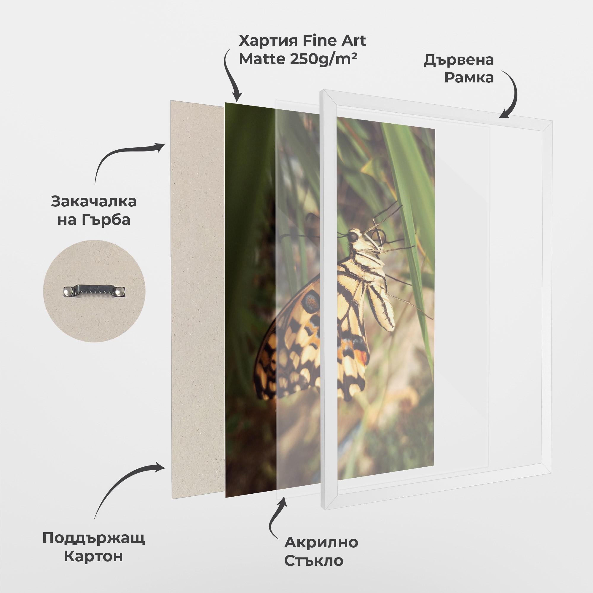 Рамкиран постер Wild Brown Butterfly mockup 1