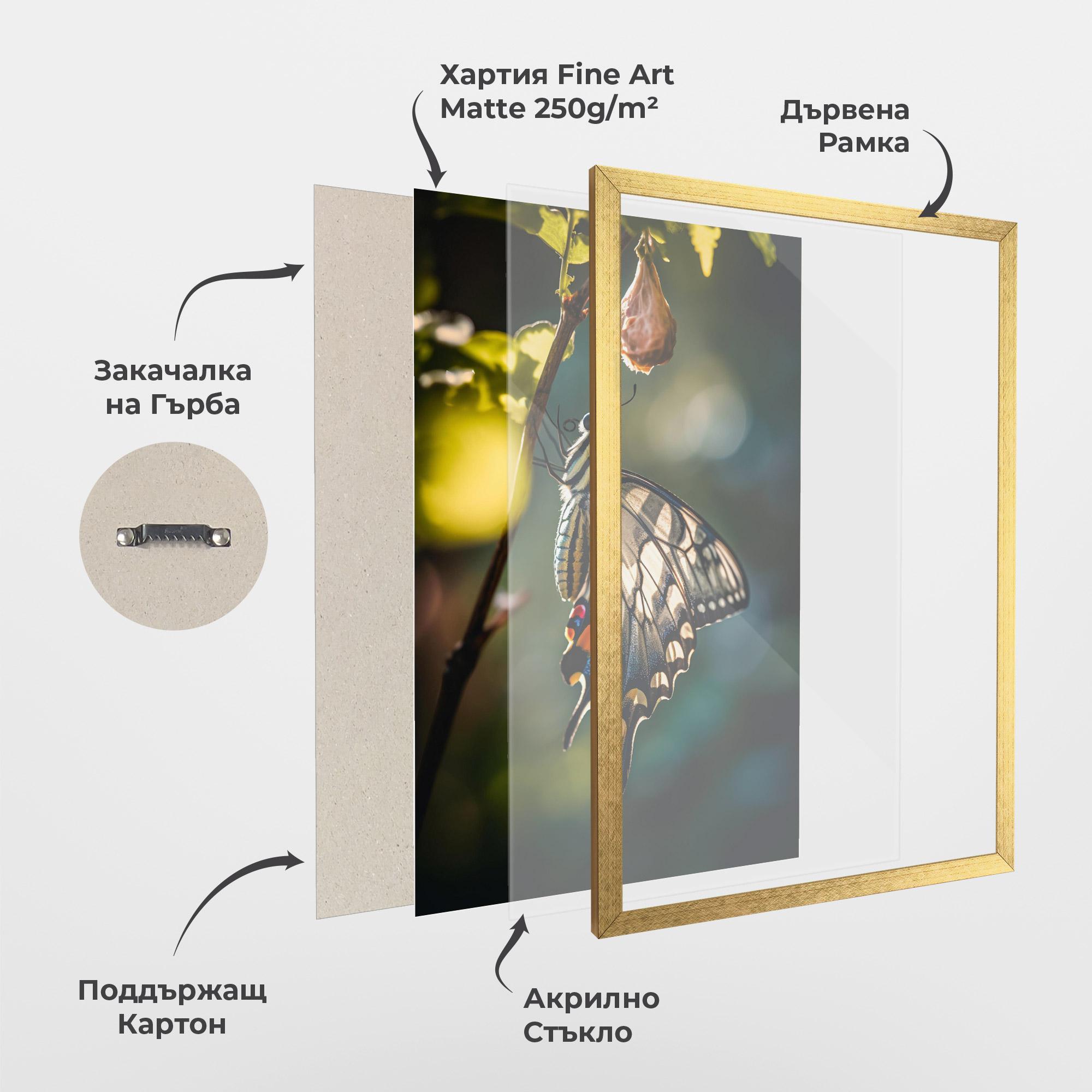 Рамкиран постер Blue Cream Butterfly mockup 1