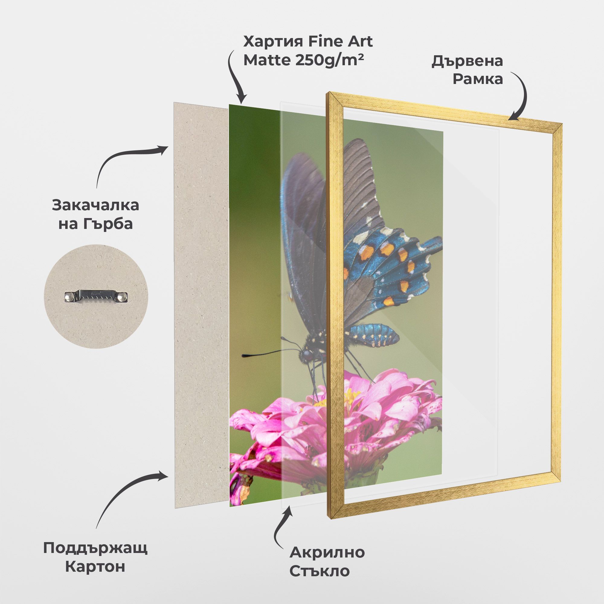 Blue Grey Butterfly mockup 1