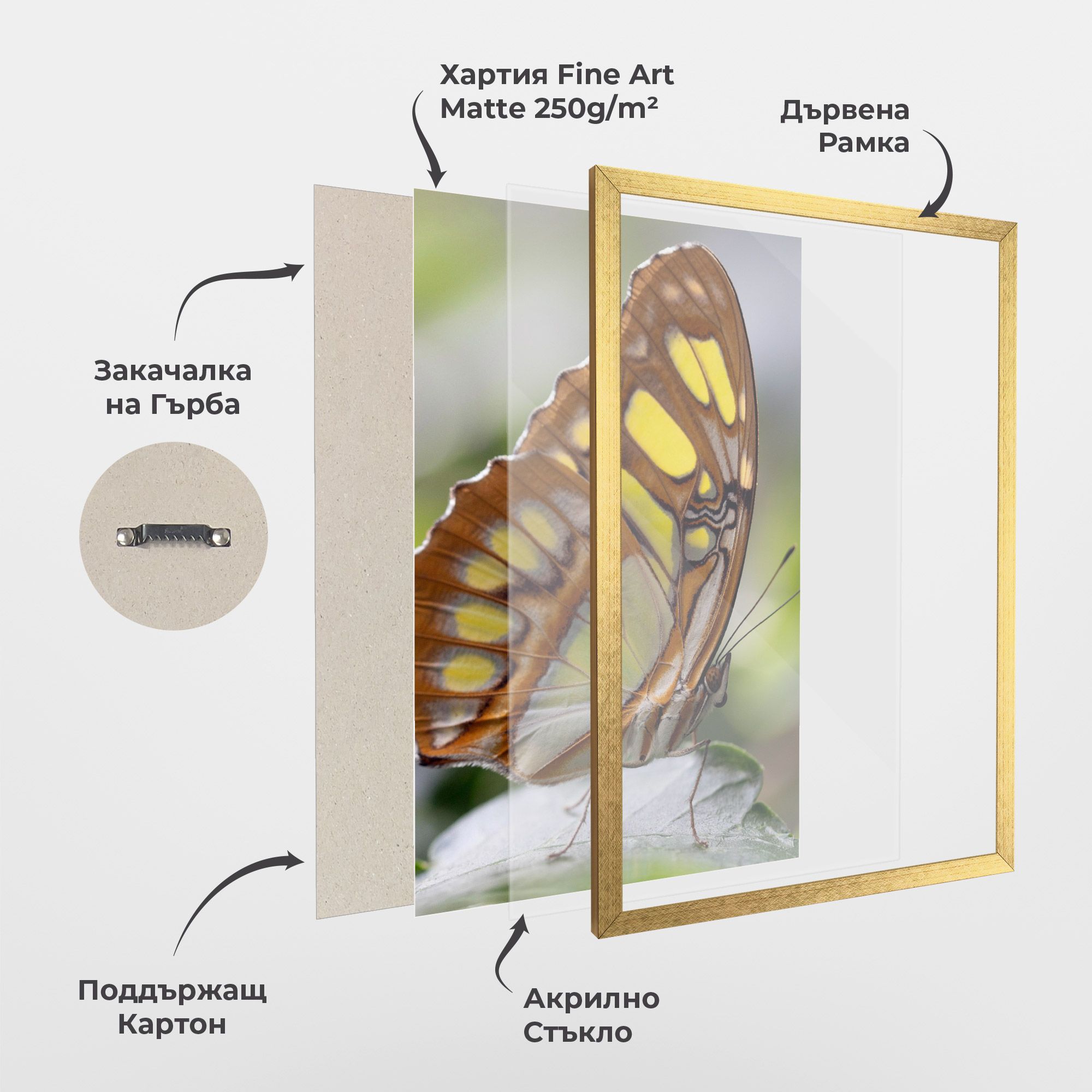 Brown Yellow Butterfly mockup 1