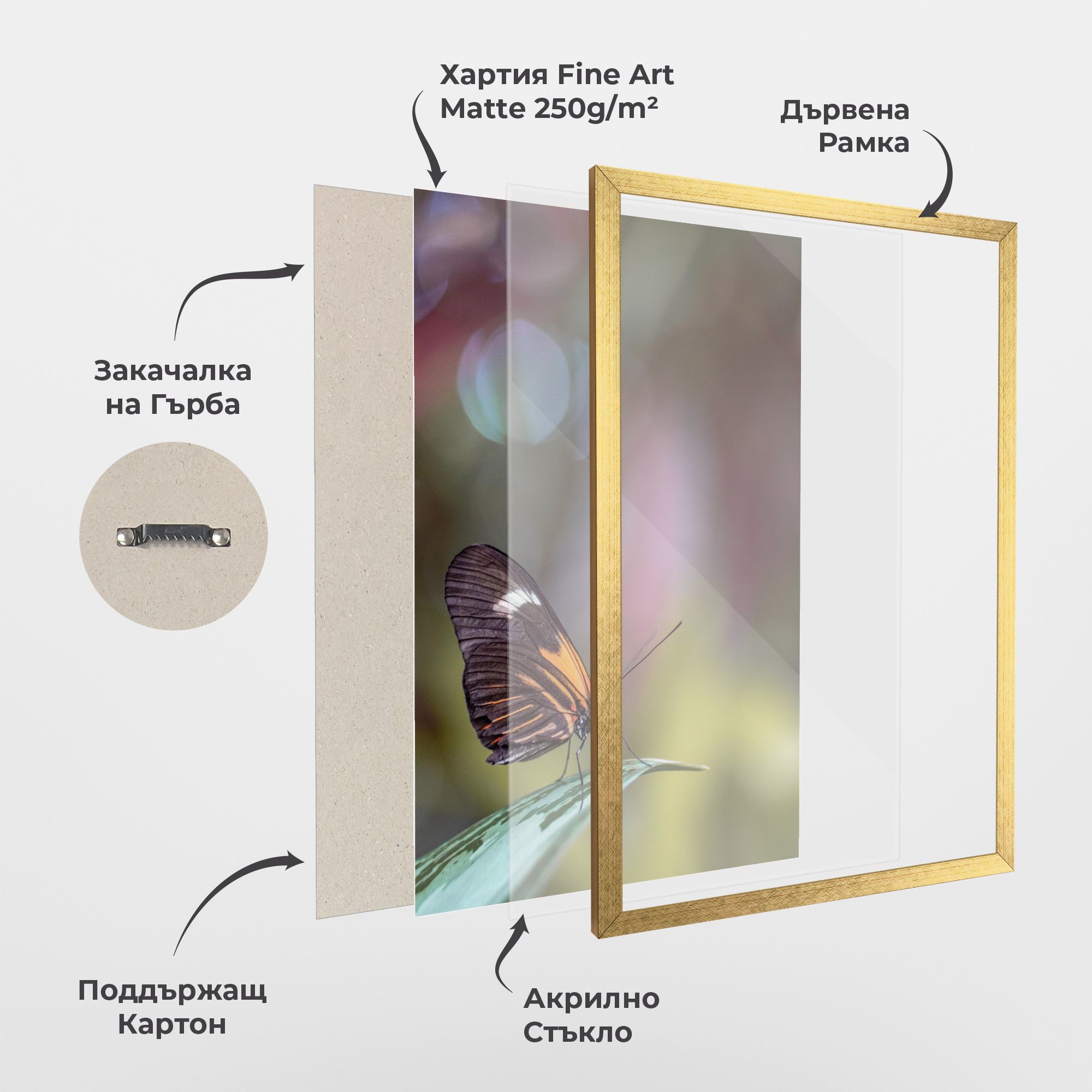 Dark Purple Butterfly mockup 1