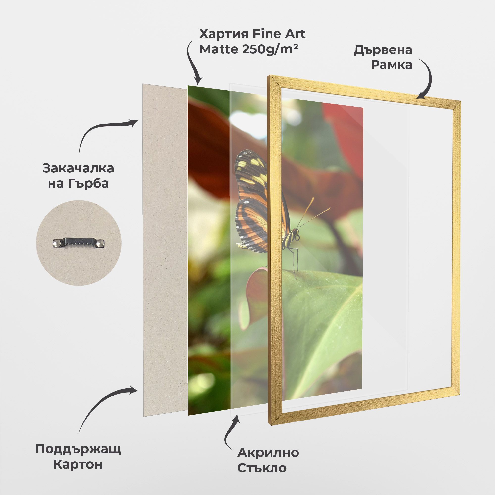 Orange Yellow Butterfly mockup 1