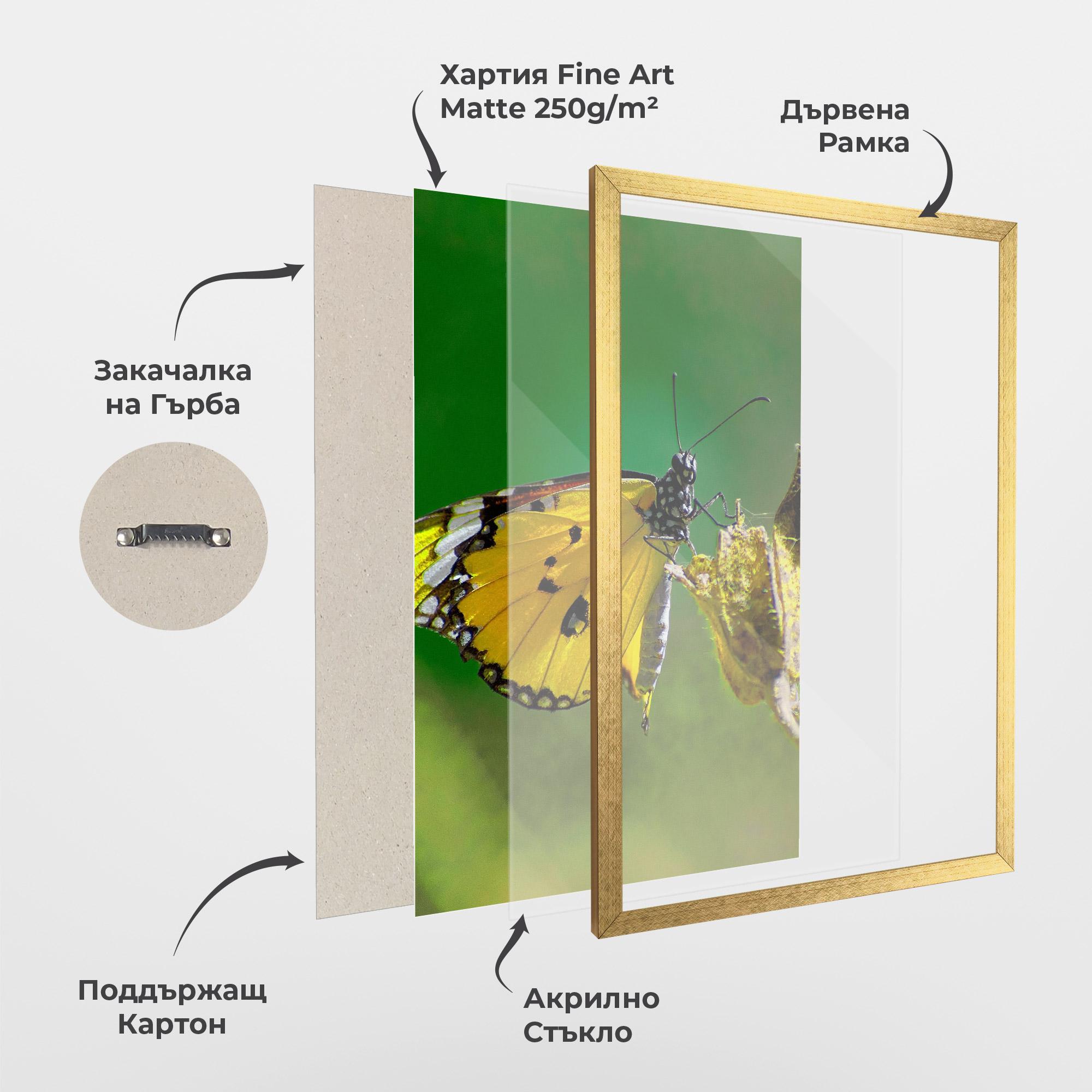 Рамкиран постер Yellow White Butterfly mockup 1