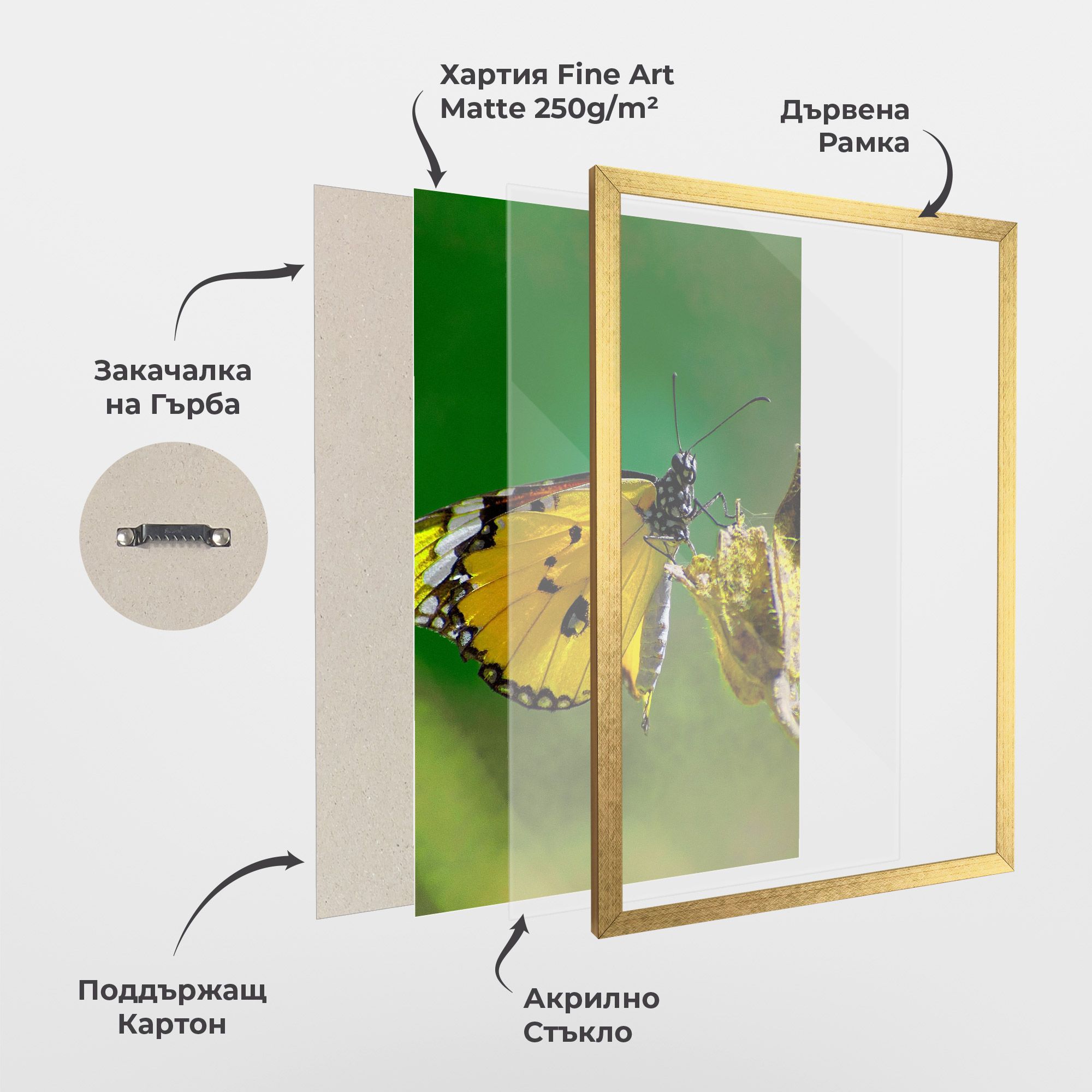 Yellow White Butterfly mockup 1