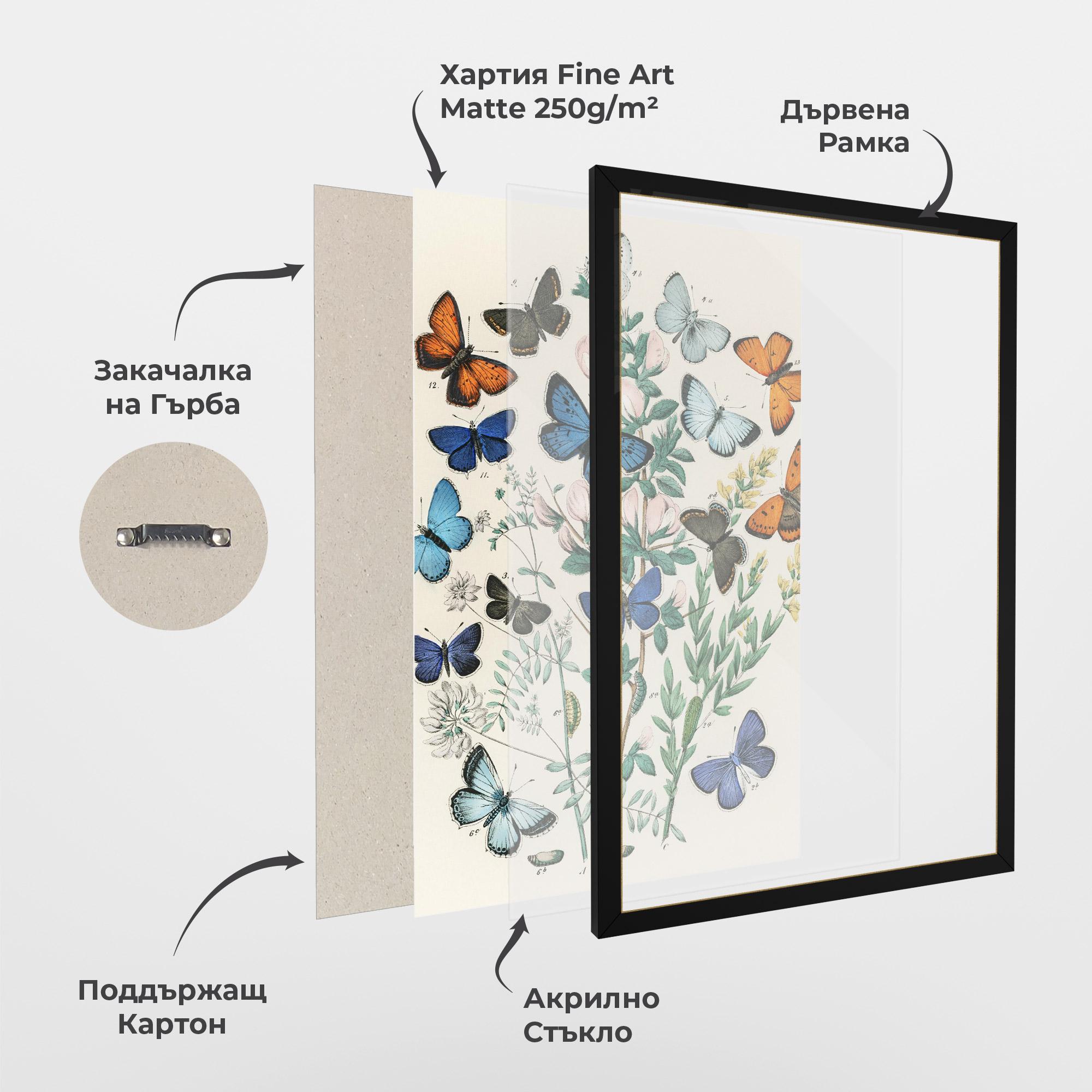 Рамкиран постер Blue Orange Butterflies mockup 1