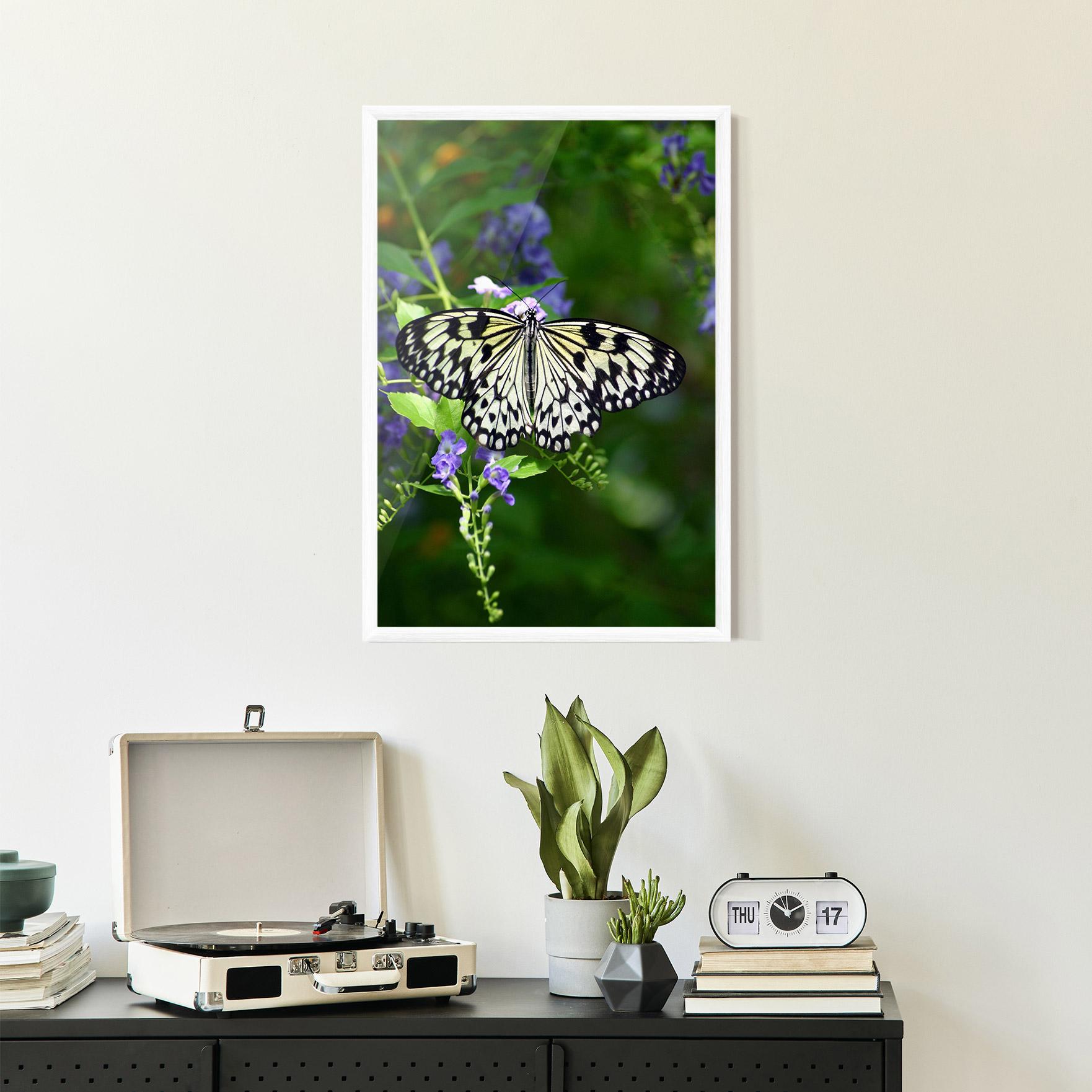Рамкиран постер Pretty White Butterfly mockup 2