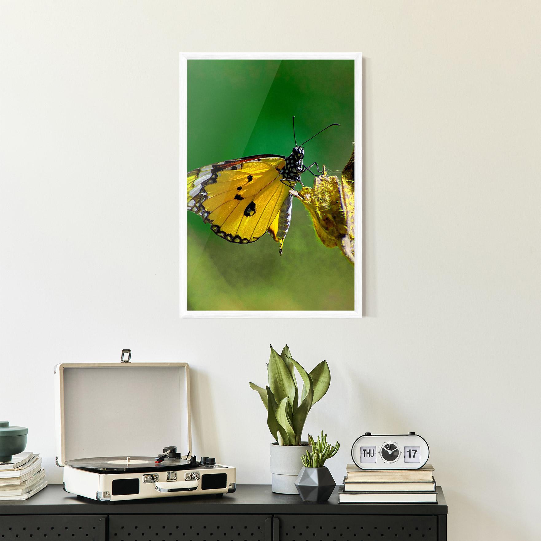 Рамкиран постер Yellow White Butterfly mockup 2