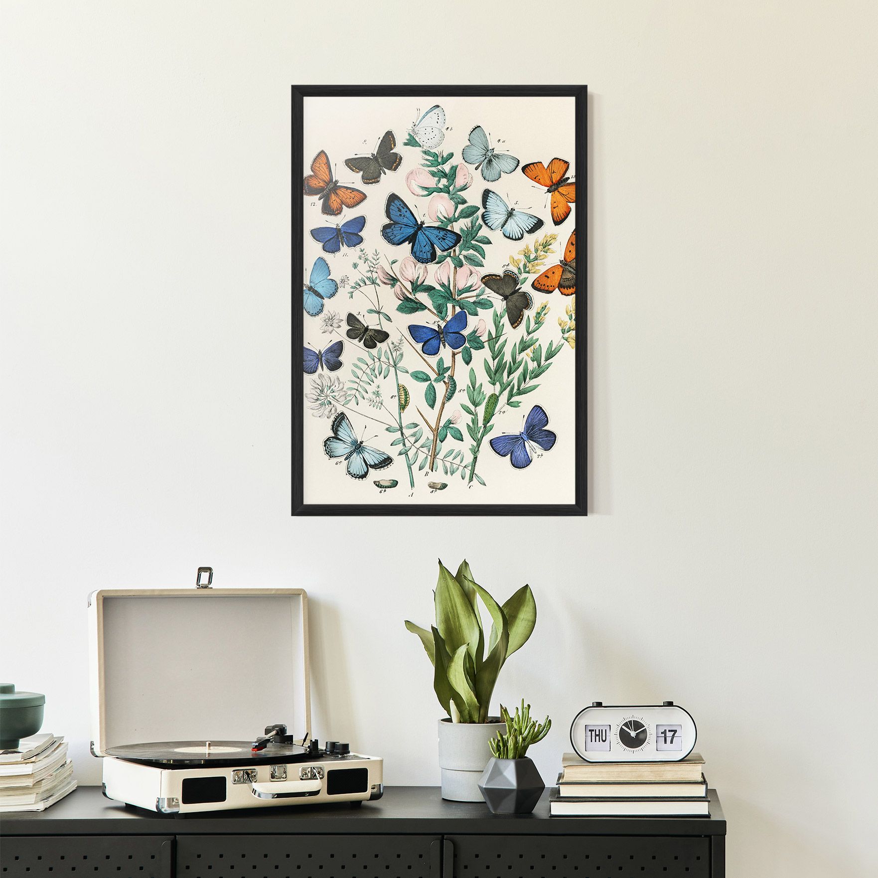 Blue Orange Butterflies mockup 2