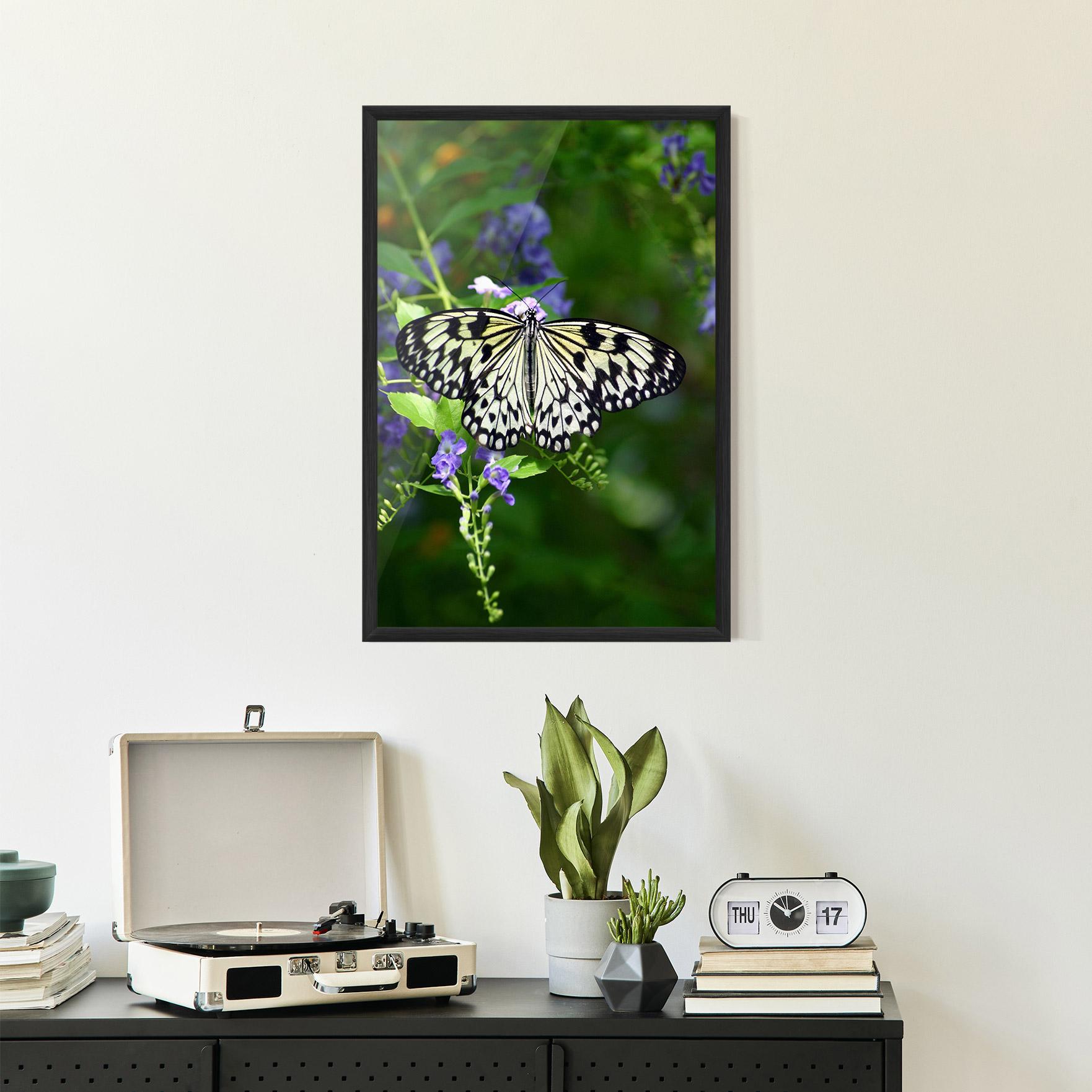 Рамкиран постер Pretty White Butterfly mockup 2