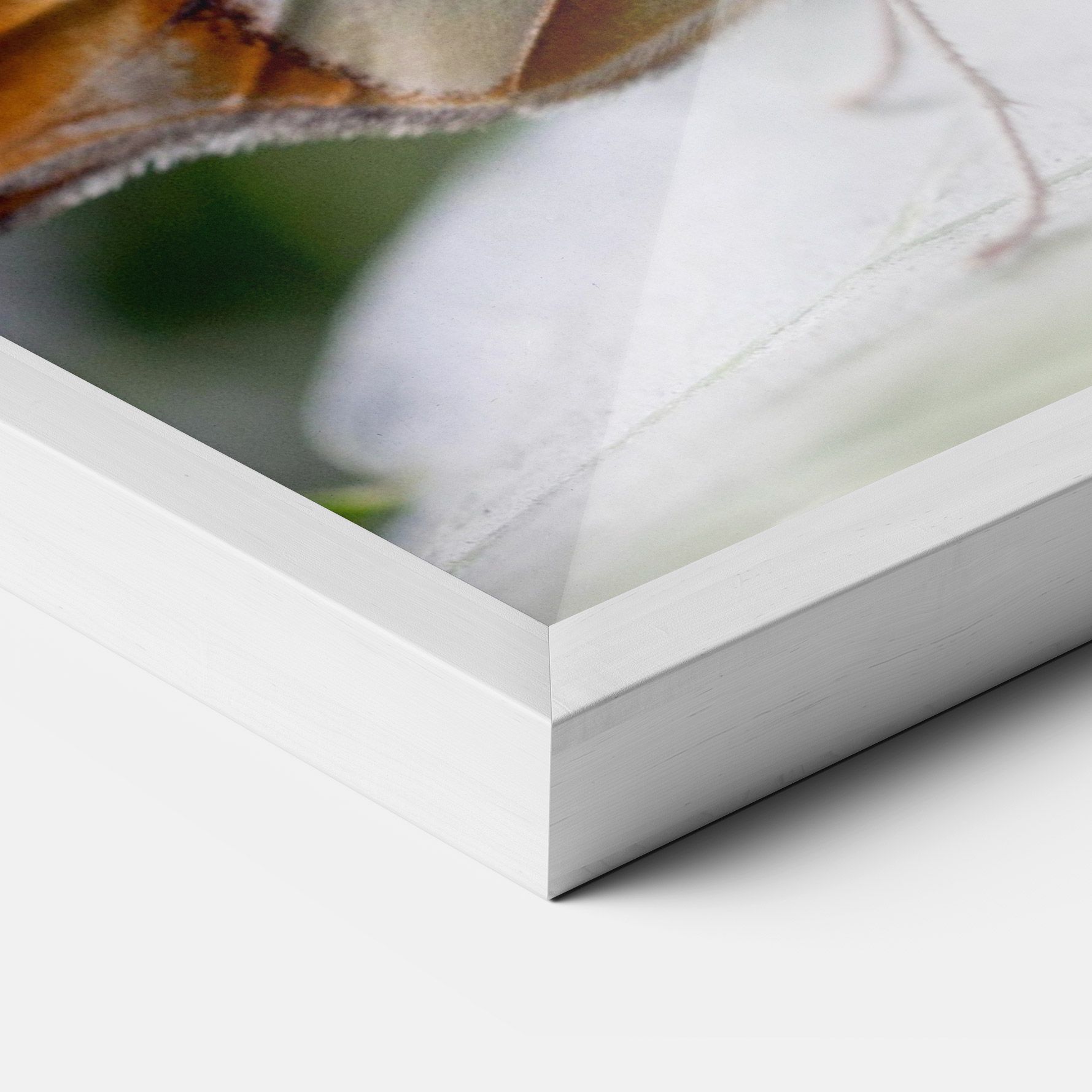 Brown Yellow Butterfly mockup 3